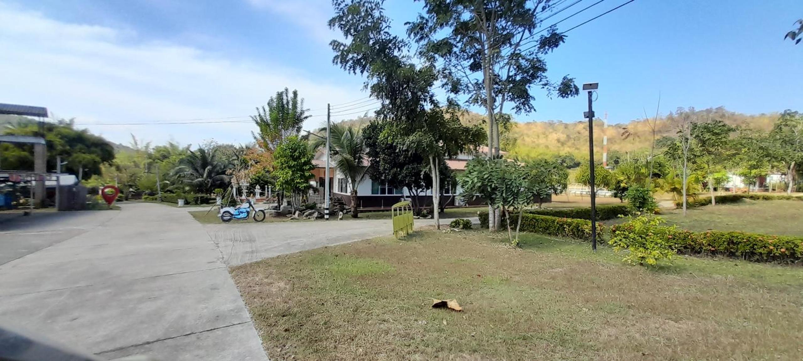 Photo 7