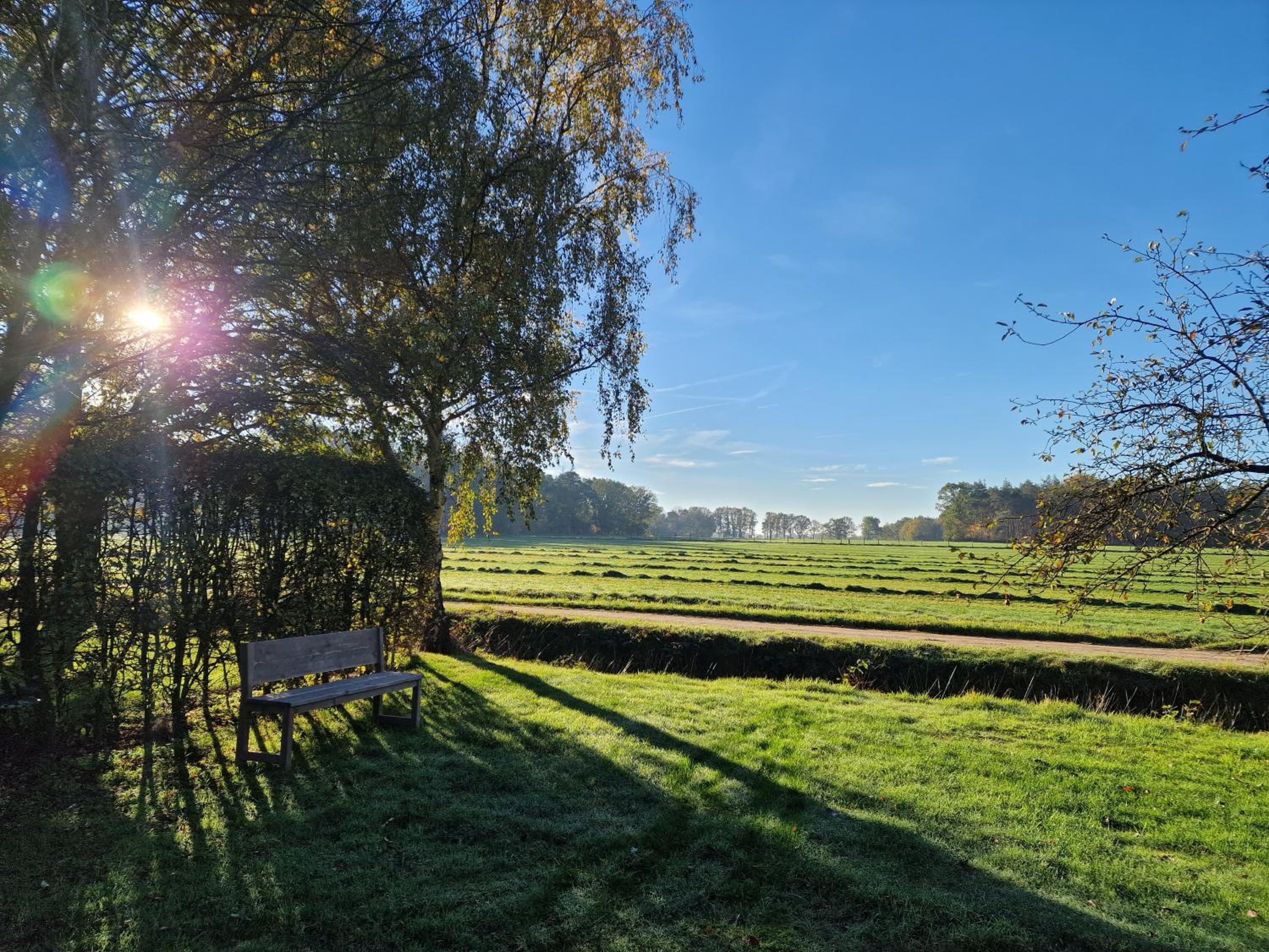 Huisje Weidezicht