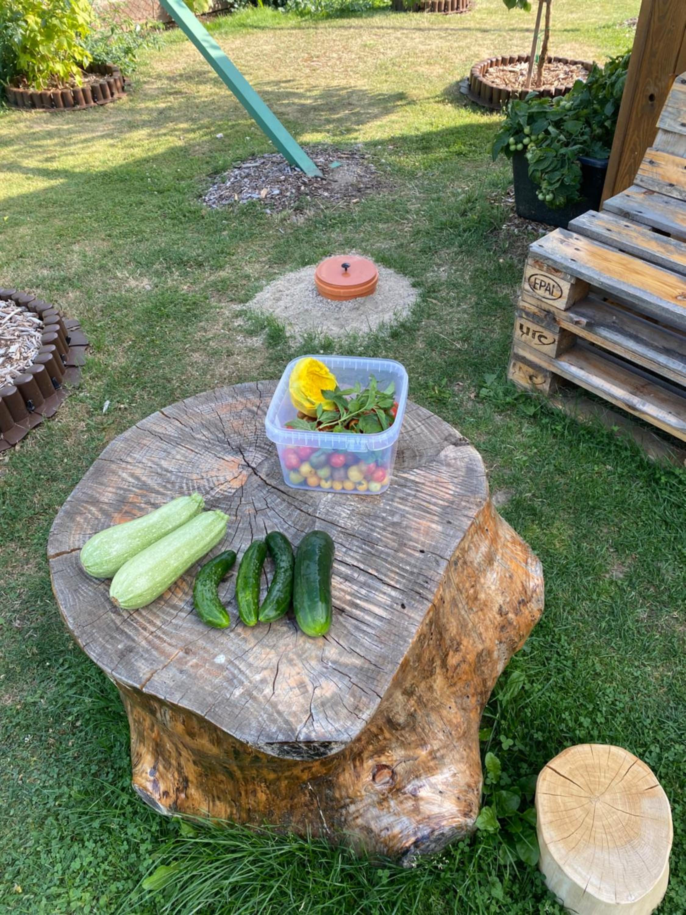 Relax Centrum Gól