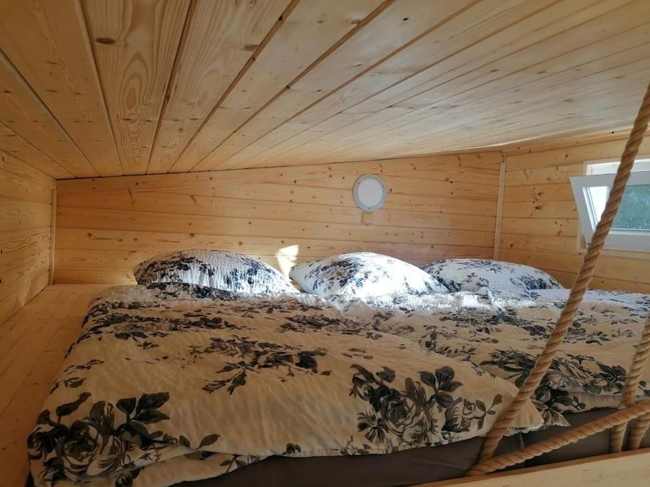 Glamping sever