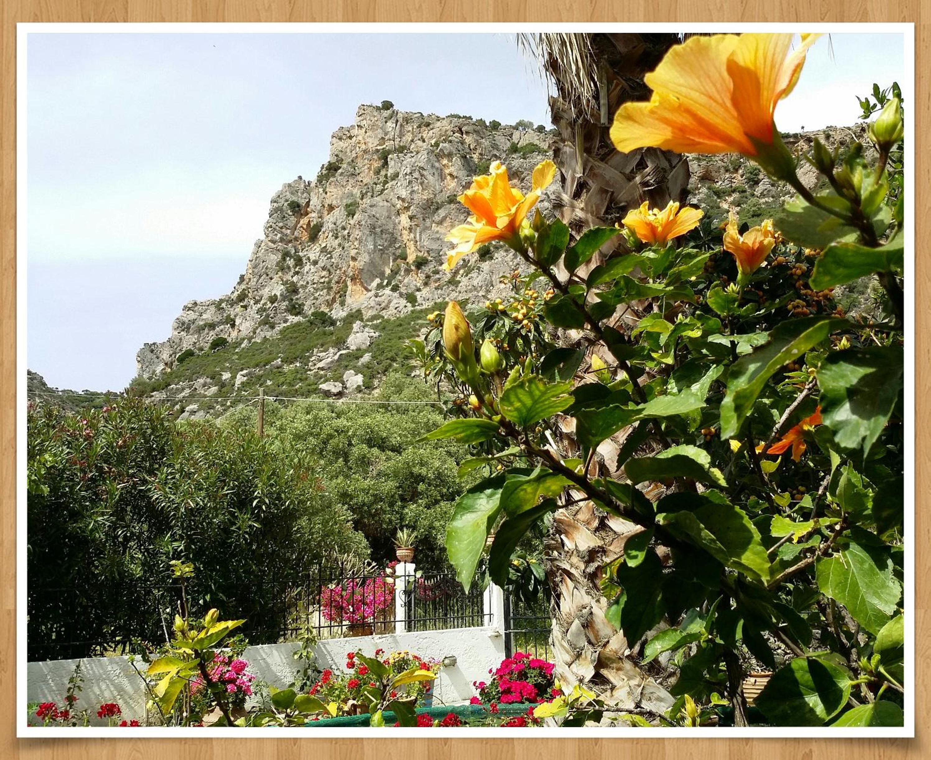Photo 27