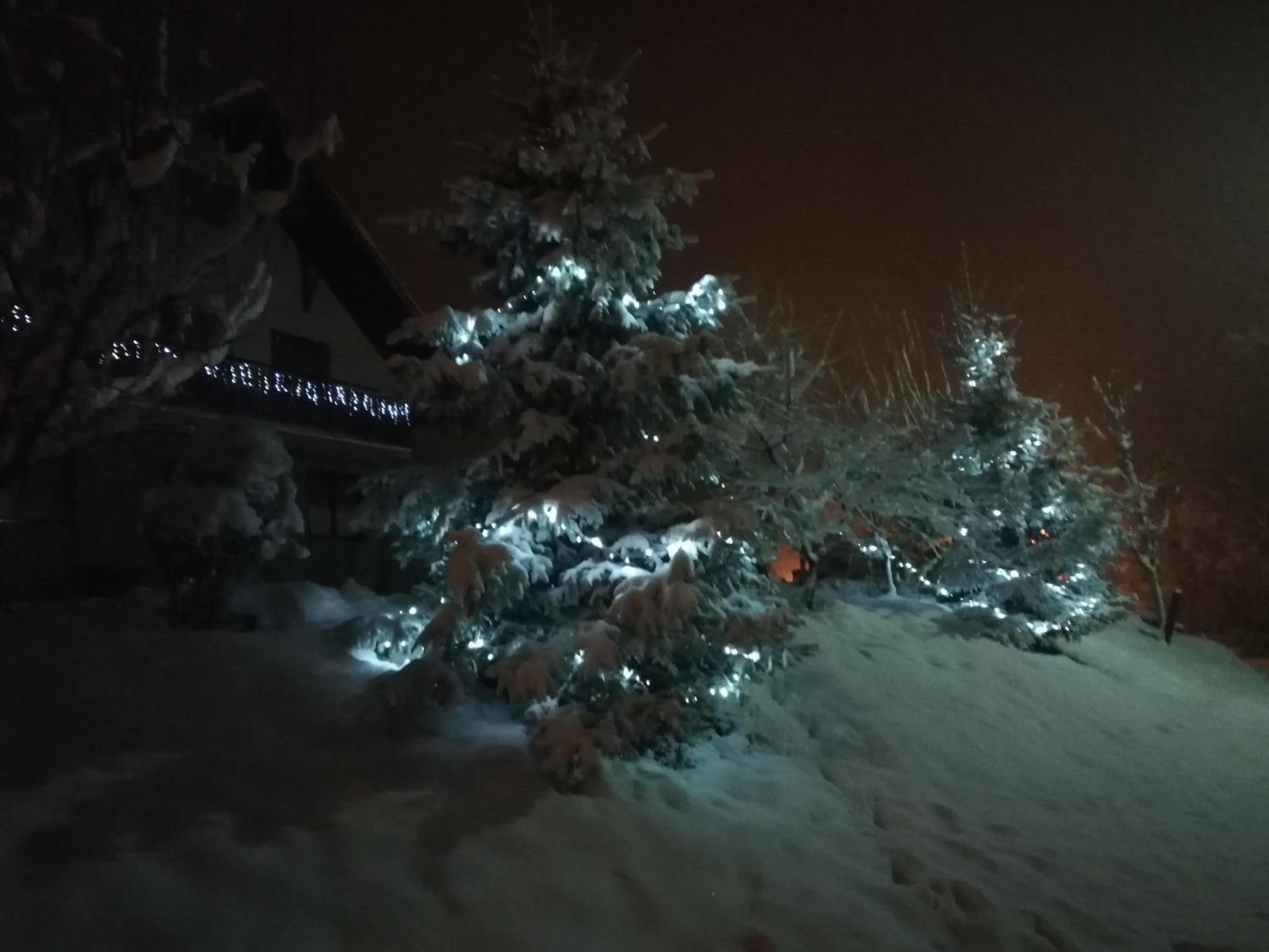 Photo 45