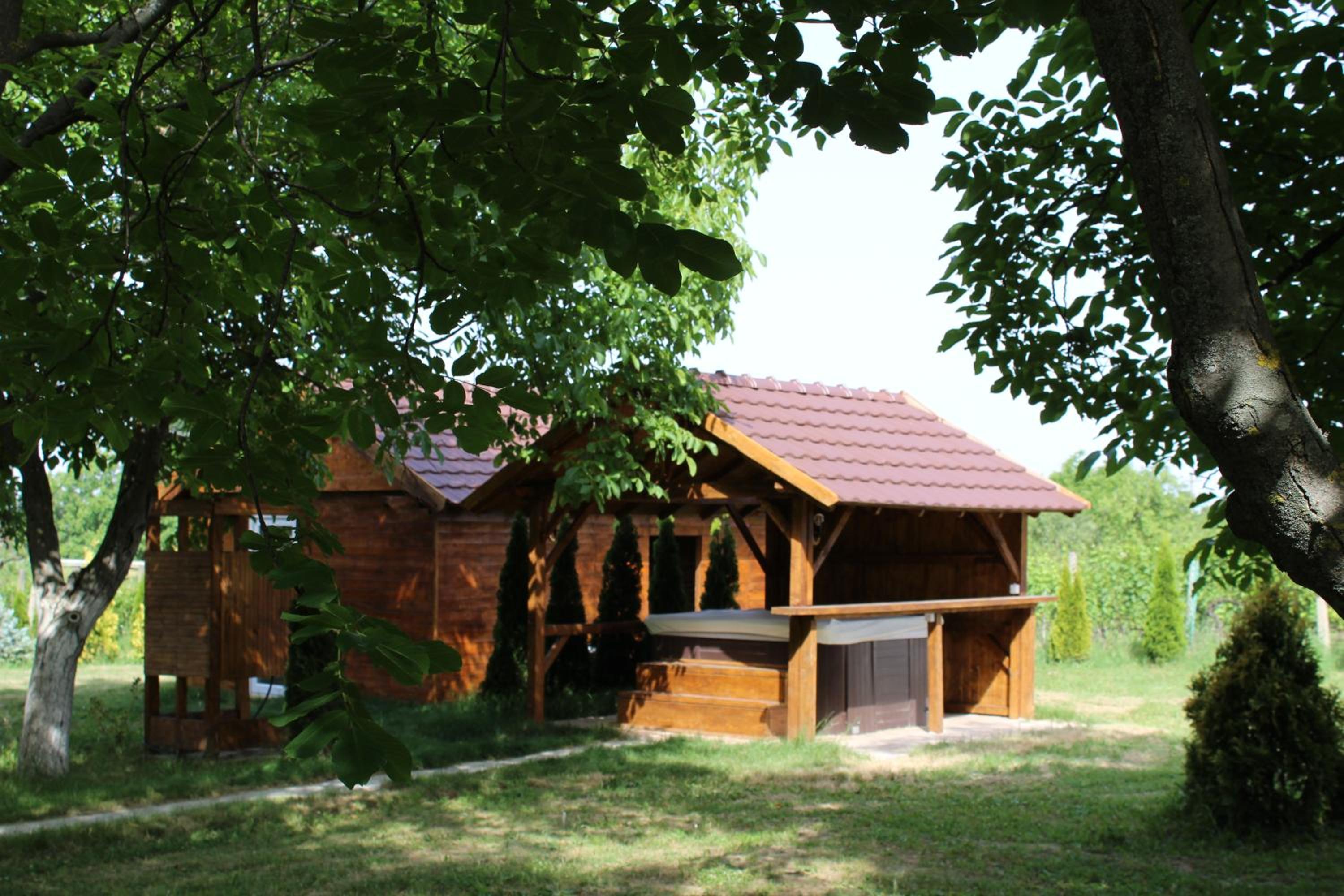 Photo 31