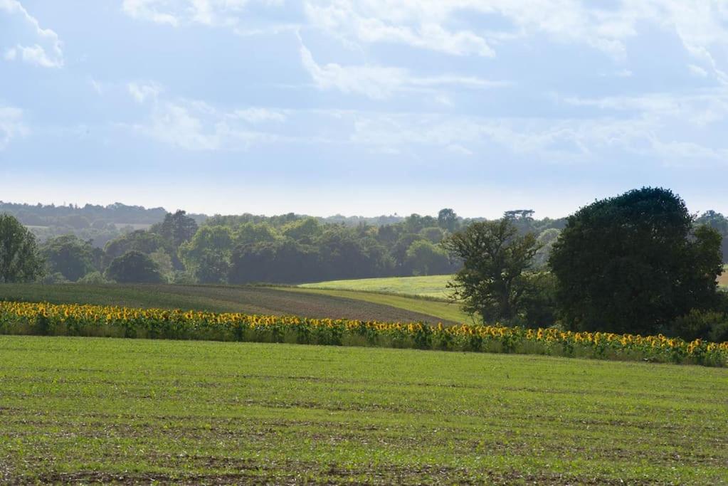 The Stables, relax in 5 star style and comfort with lovely walks all around view 3