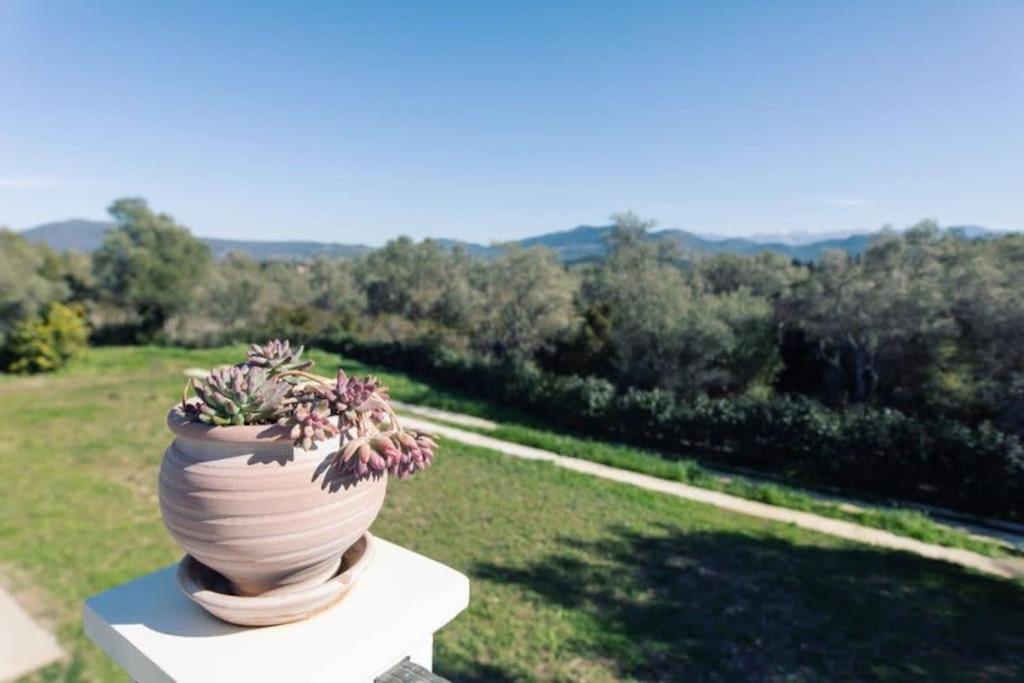 Villa Asprolia
