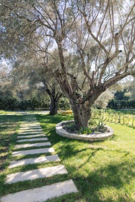Villa Asprolia