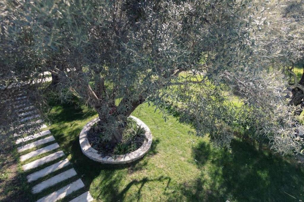 Villa Asprolia