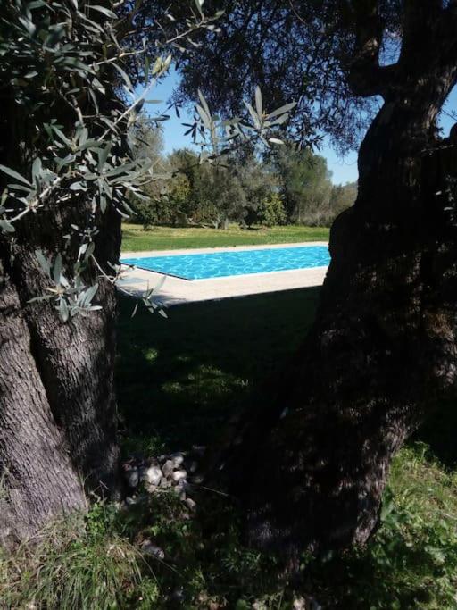 Villa Asprolia
