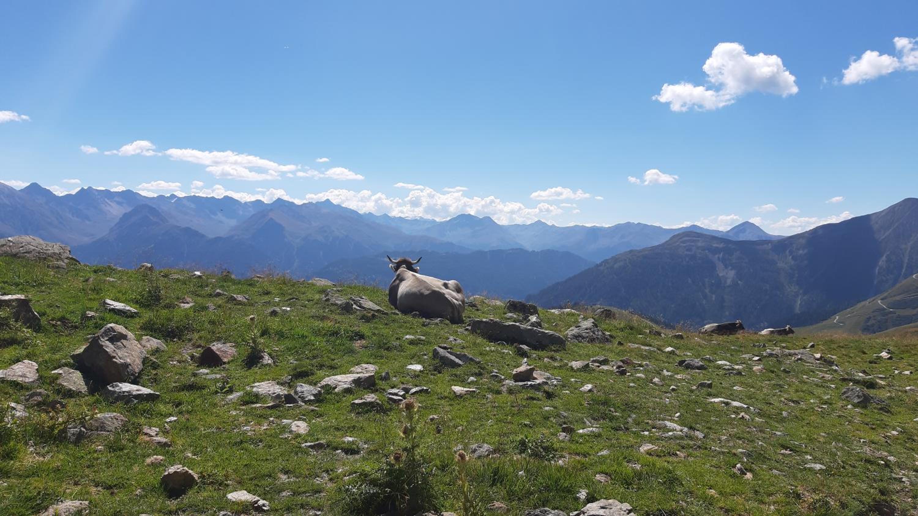 Lärchenhof Serfaus