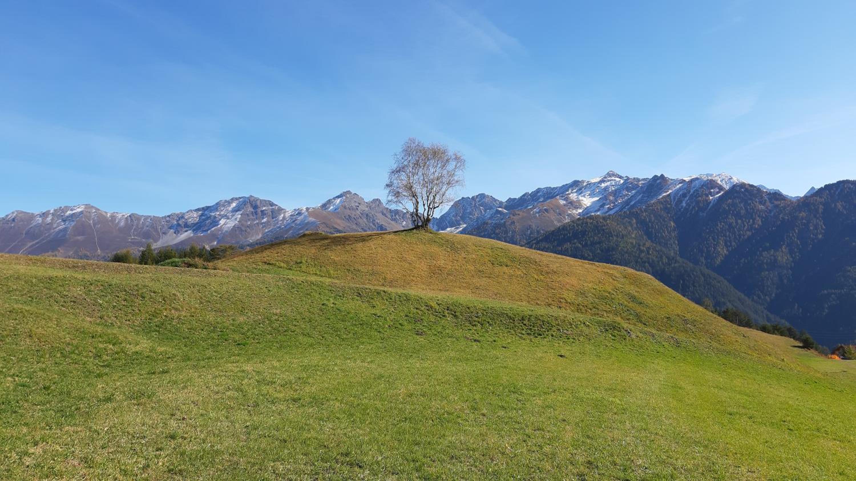 Lärchenhof Serfaus