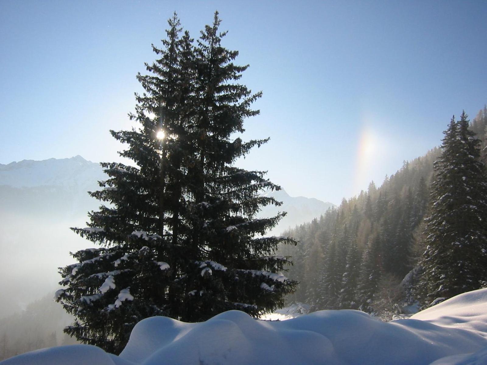 Lärchenhof Serfaus