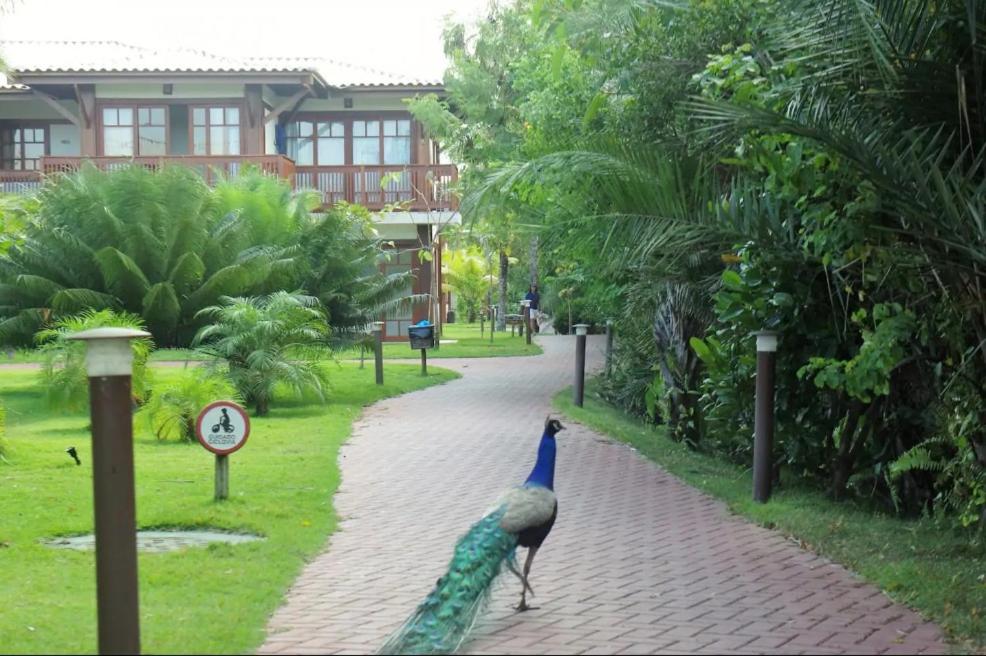 Villa da Enseada, Praia do Forte