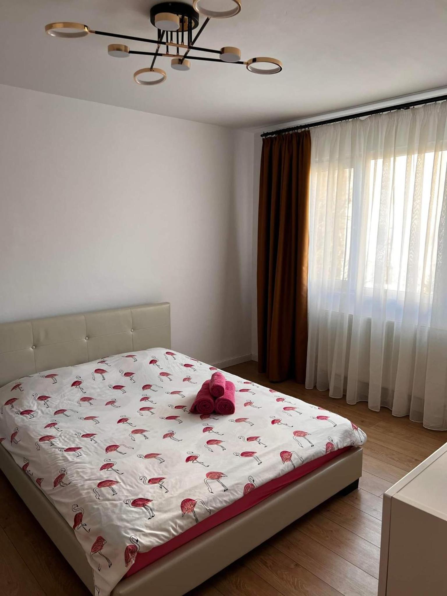 Garsoniera Flamingo Garii 4 view 5