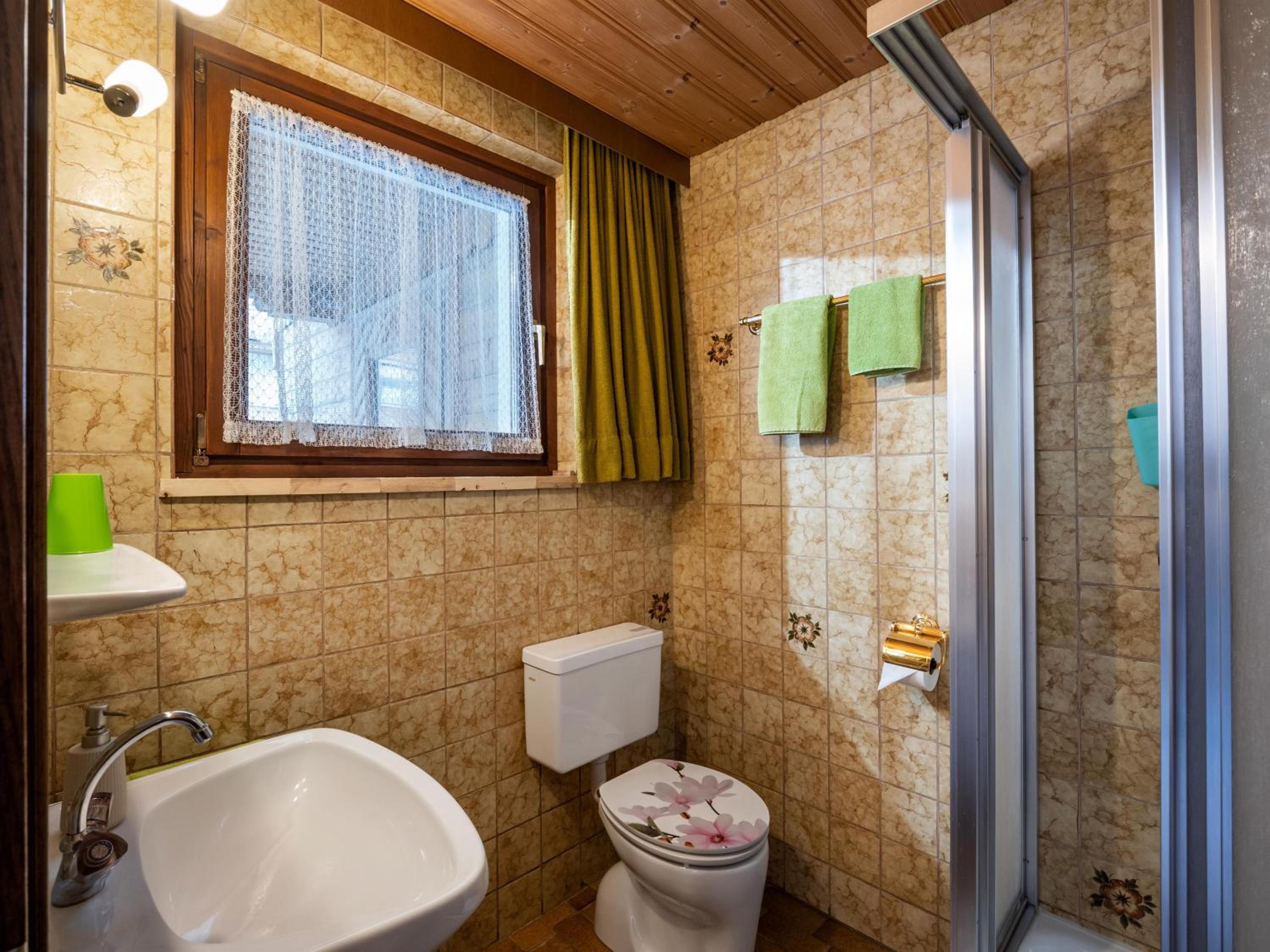 Appartement Alpenlöwe