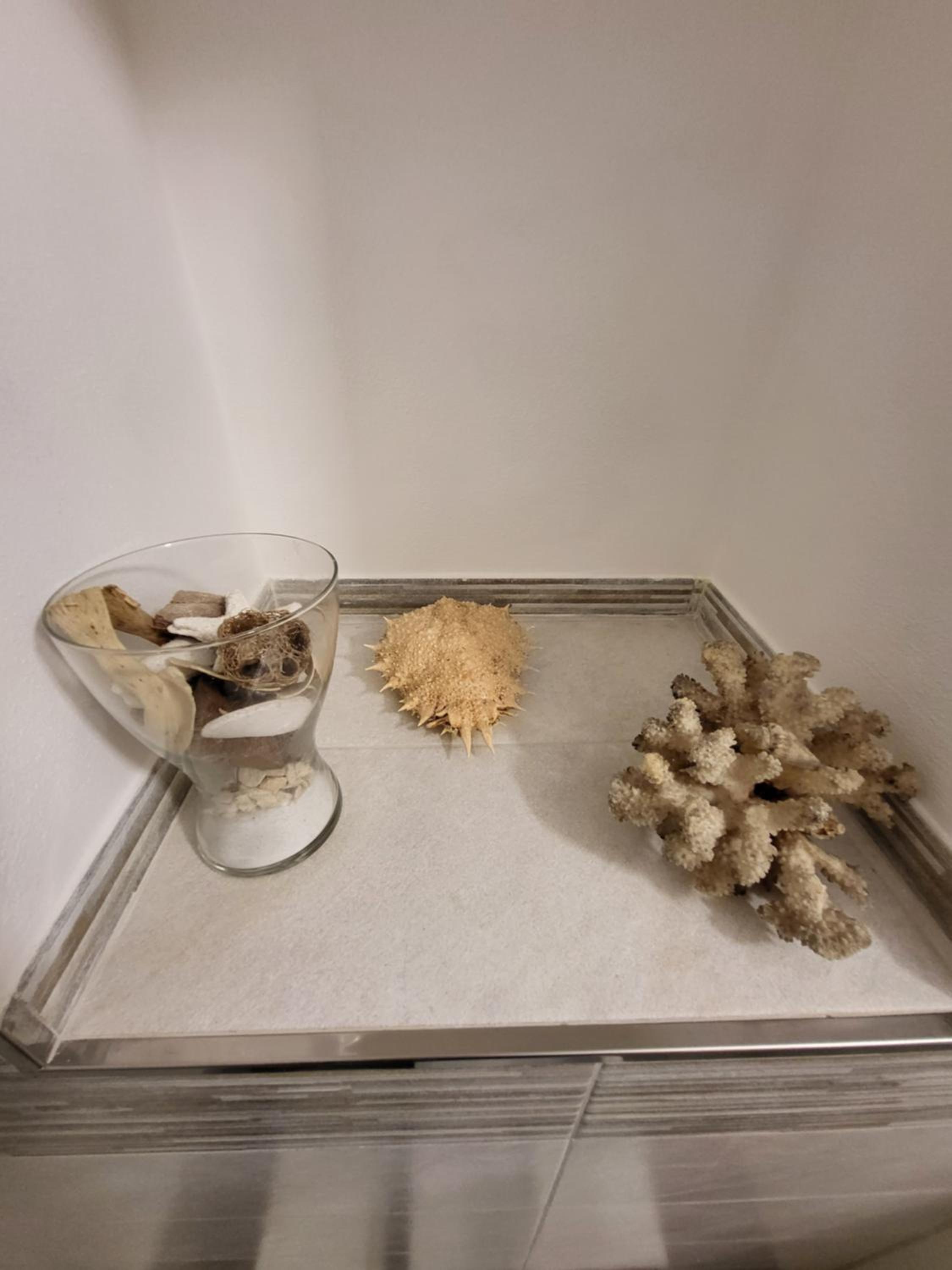 Puppo Apartments