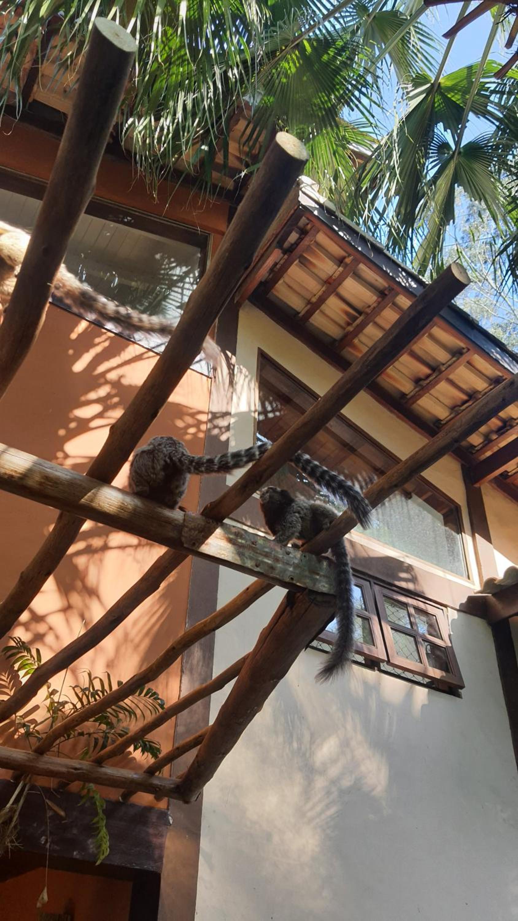 CASA DA ILHA em CONDOMINIO