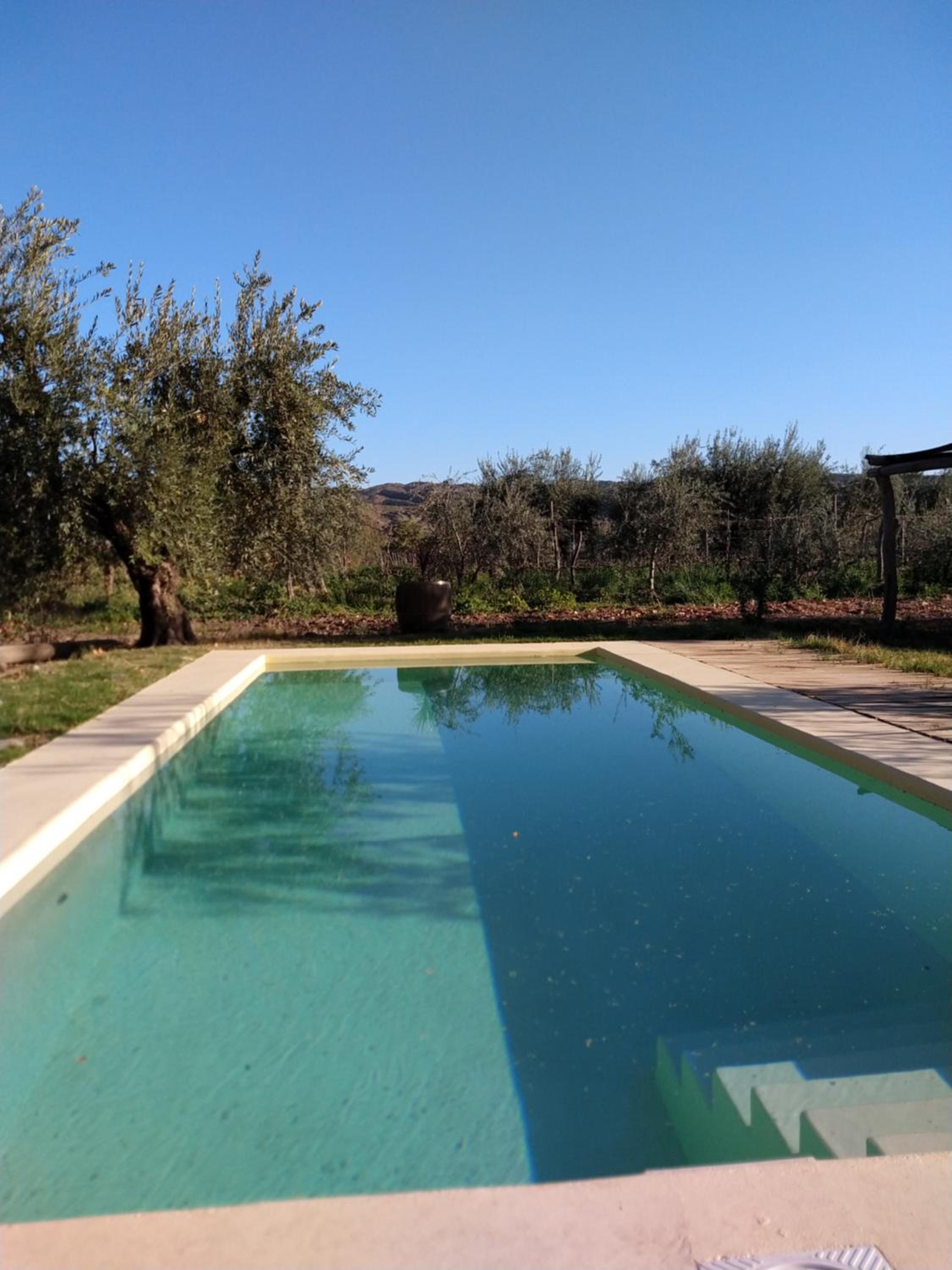 cabaña la olivia