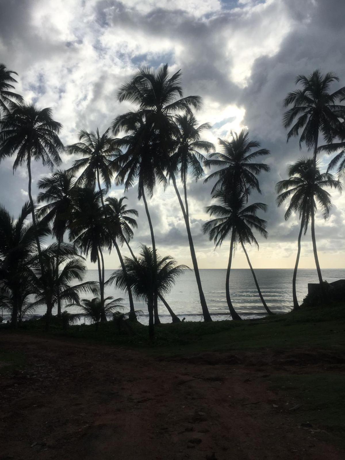 Chalet no paraíso