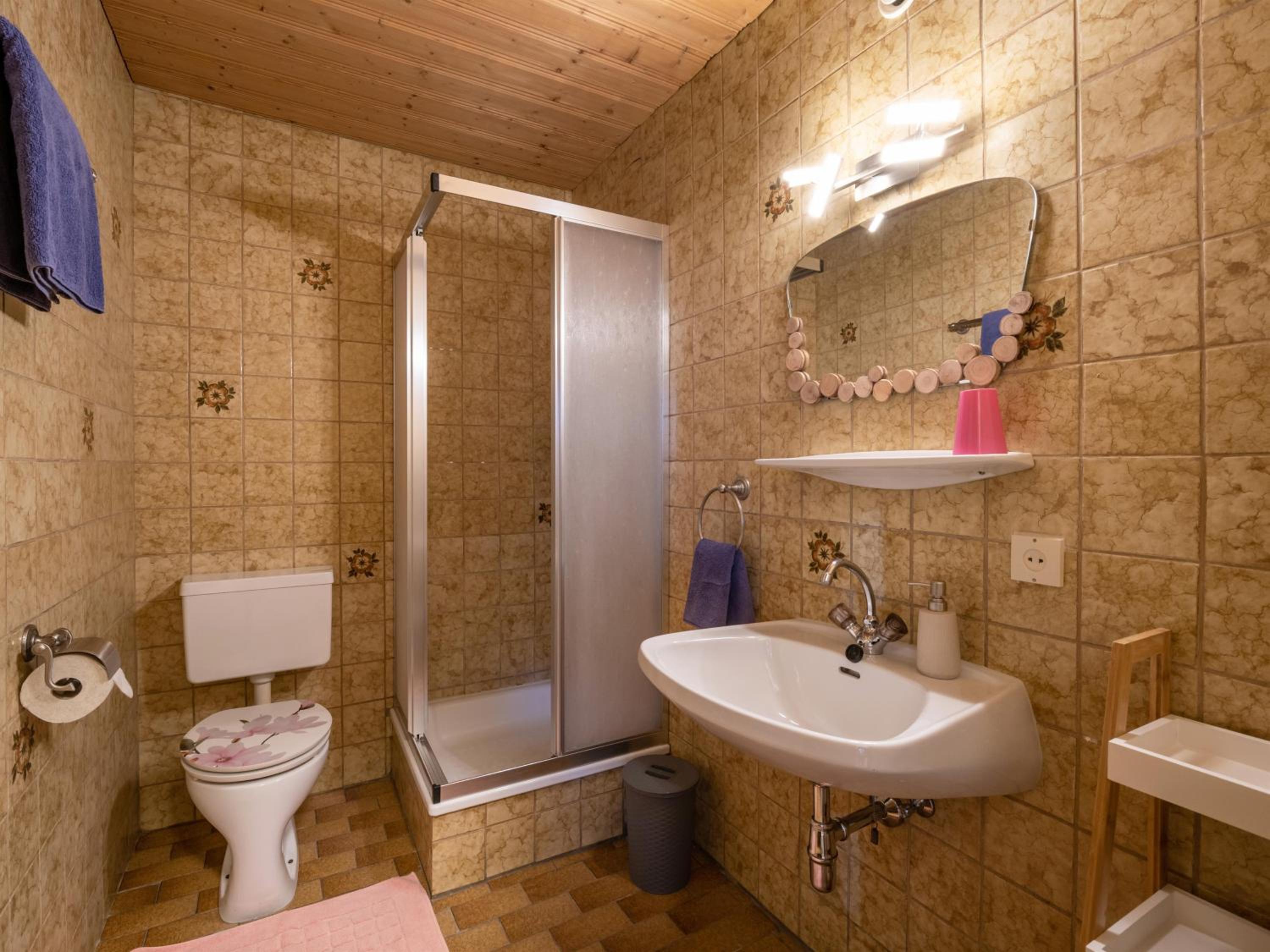 Appartement Alpenlöwe