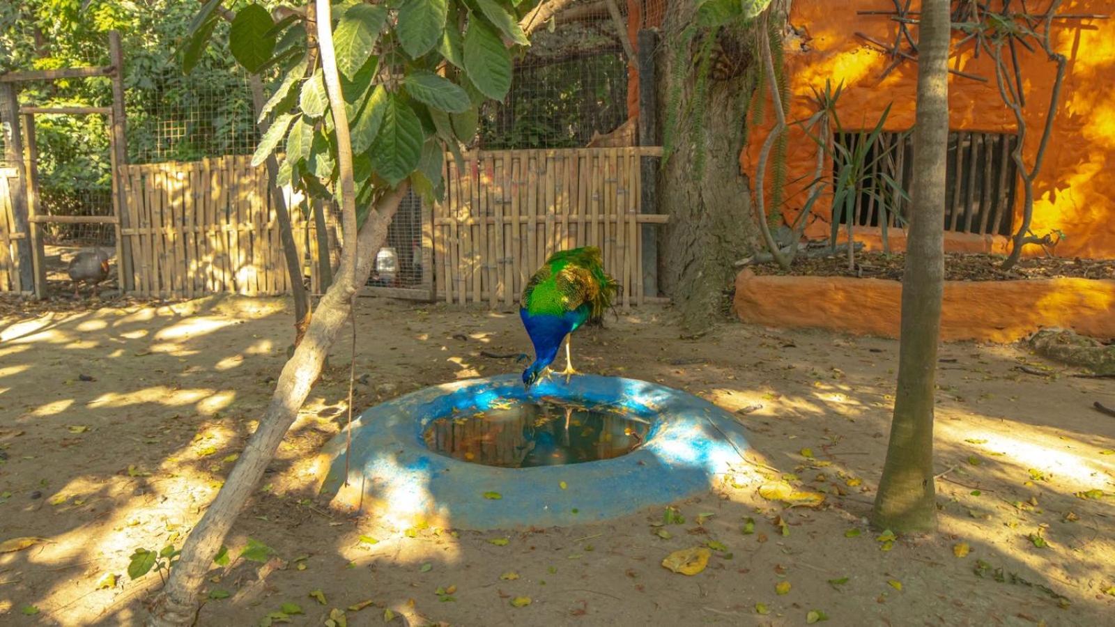 Hostería Ecológica El Faro, photo 18