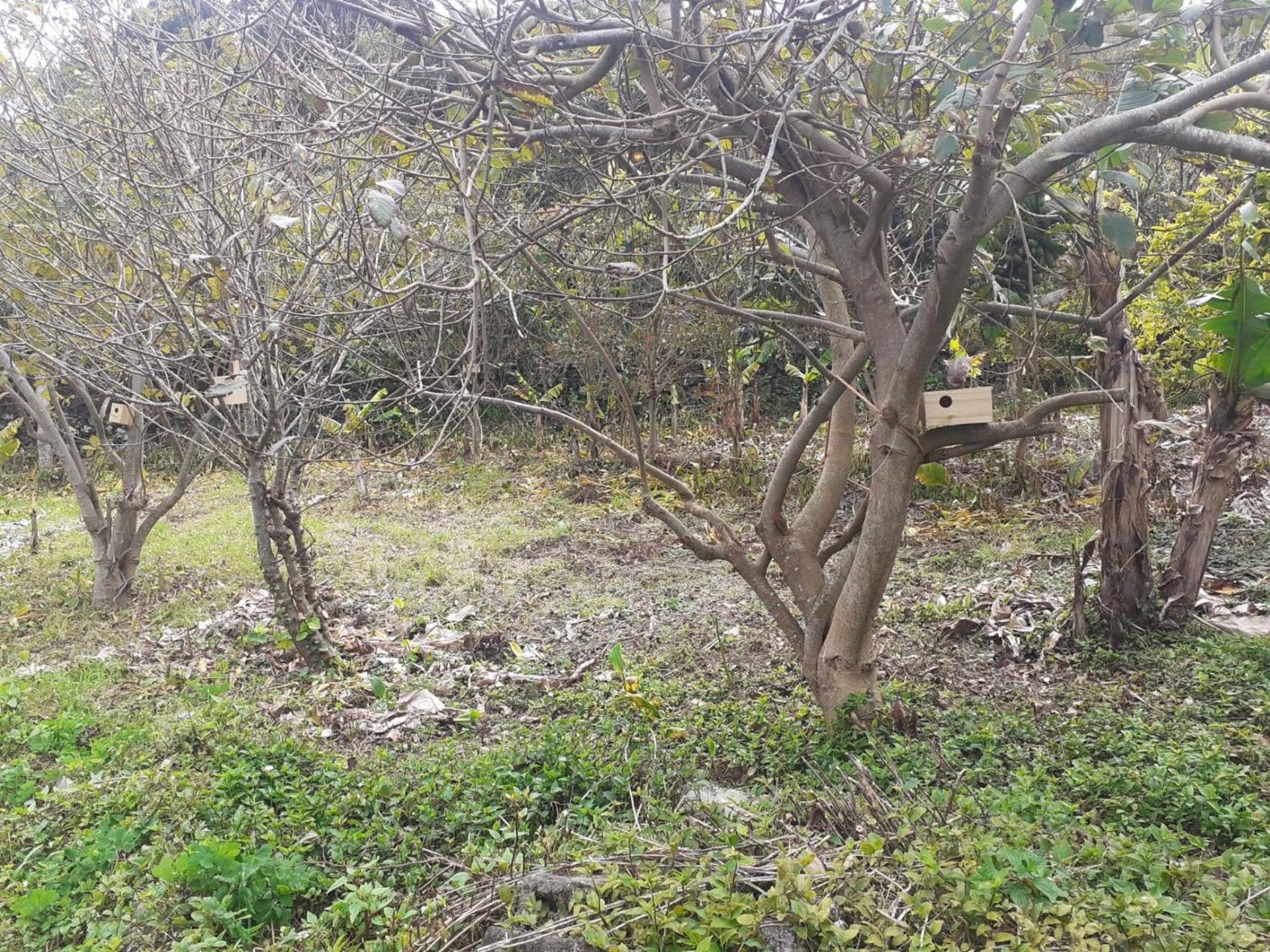 Photo 21