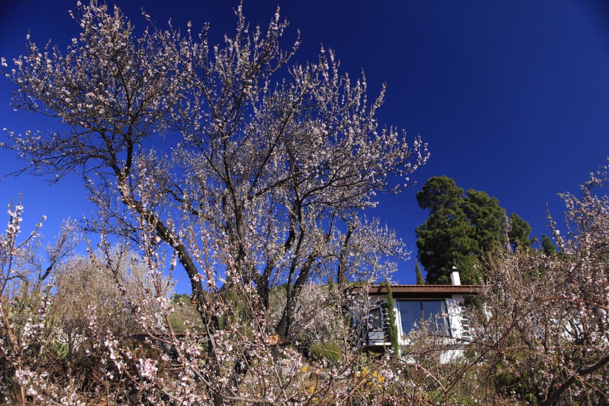 Panorama Suite El Mirador