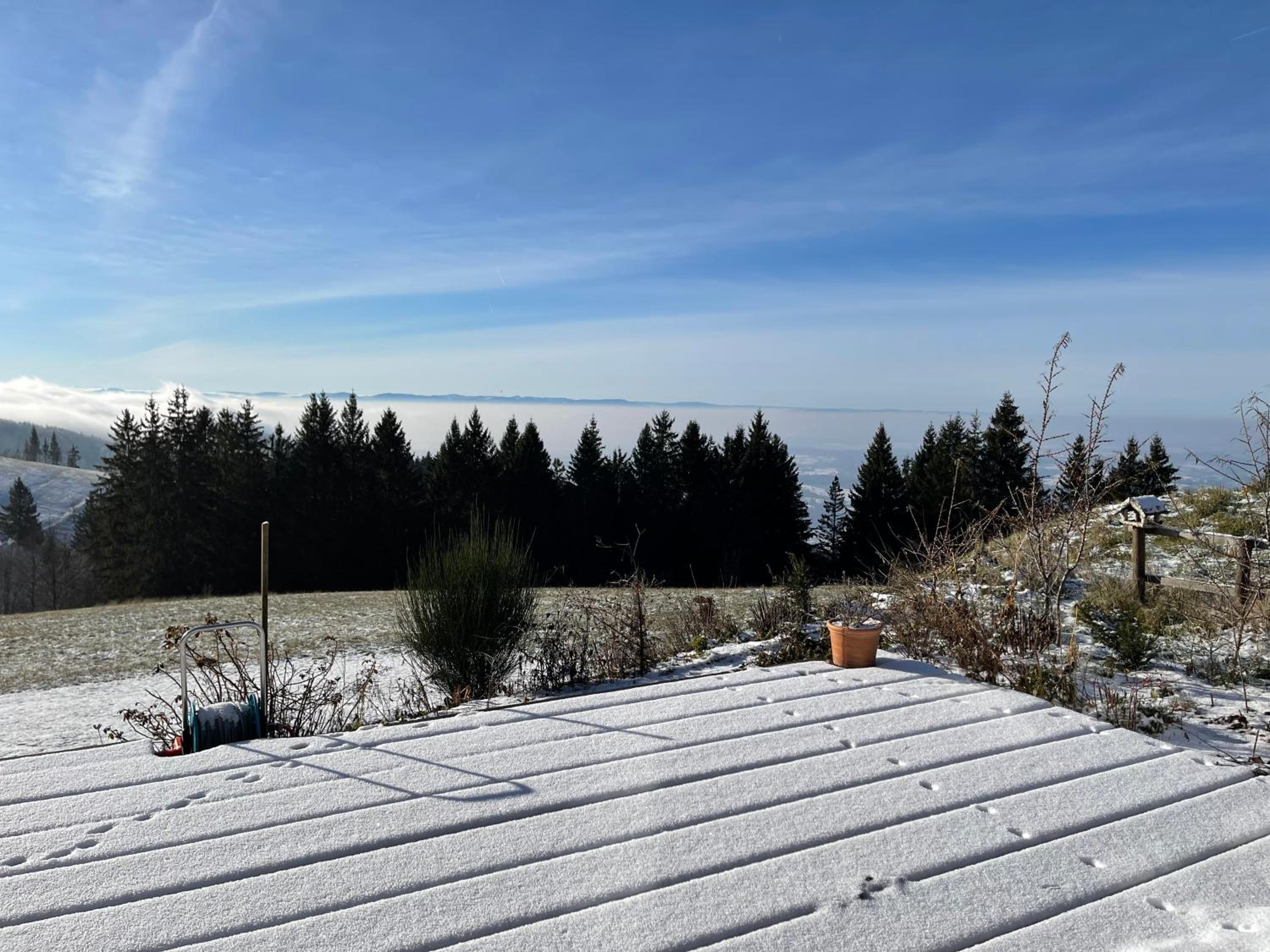 Blackforest Homestay Apartments