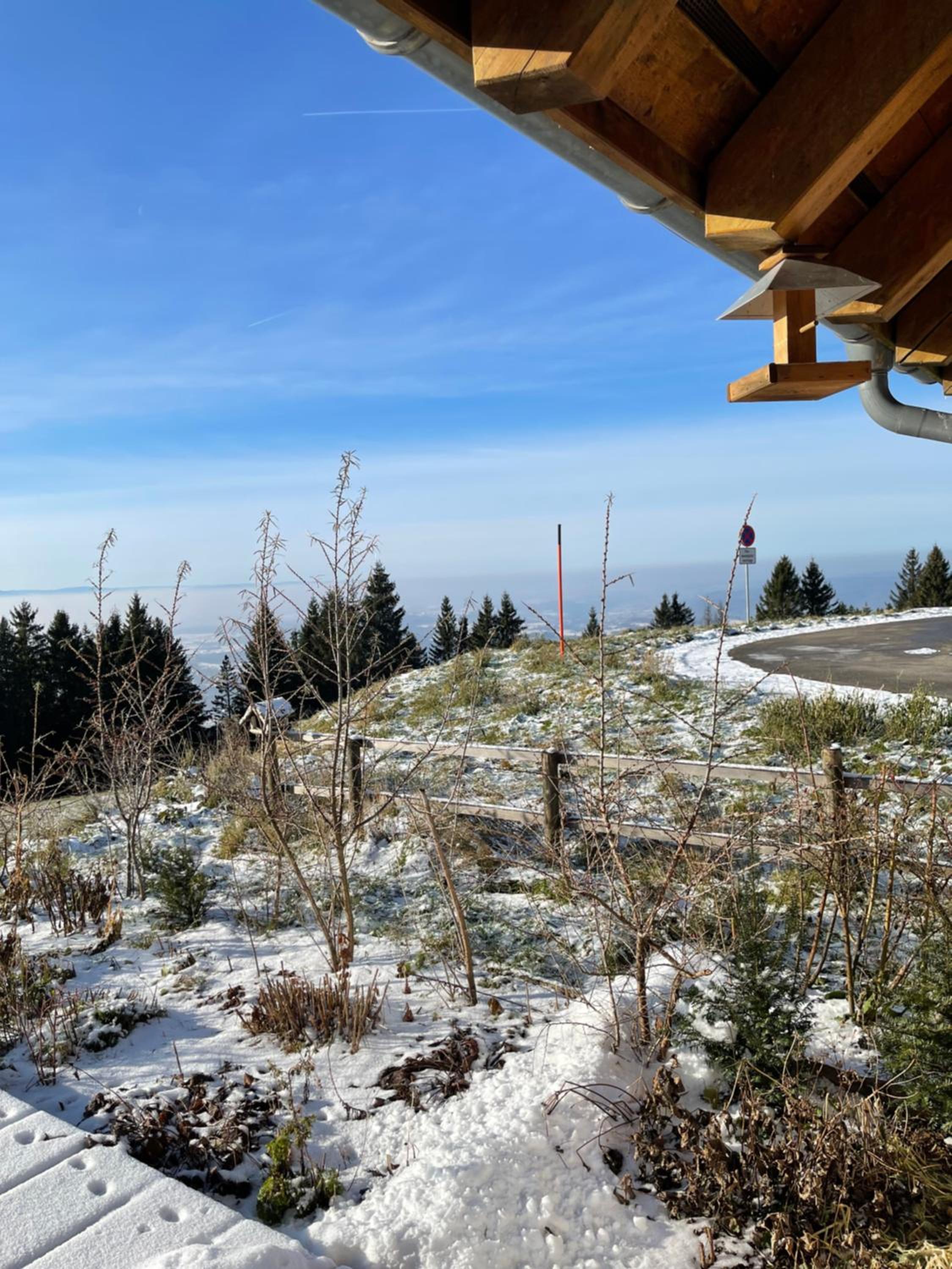 Blackforest Homestay Apartments