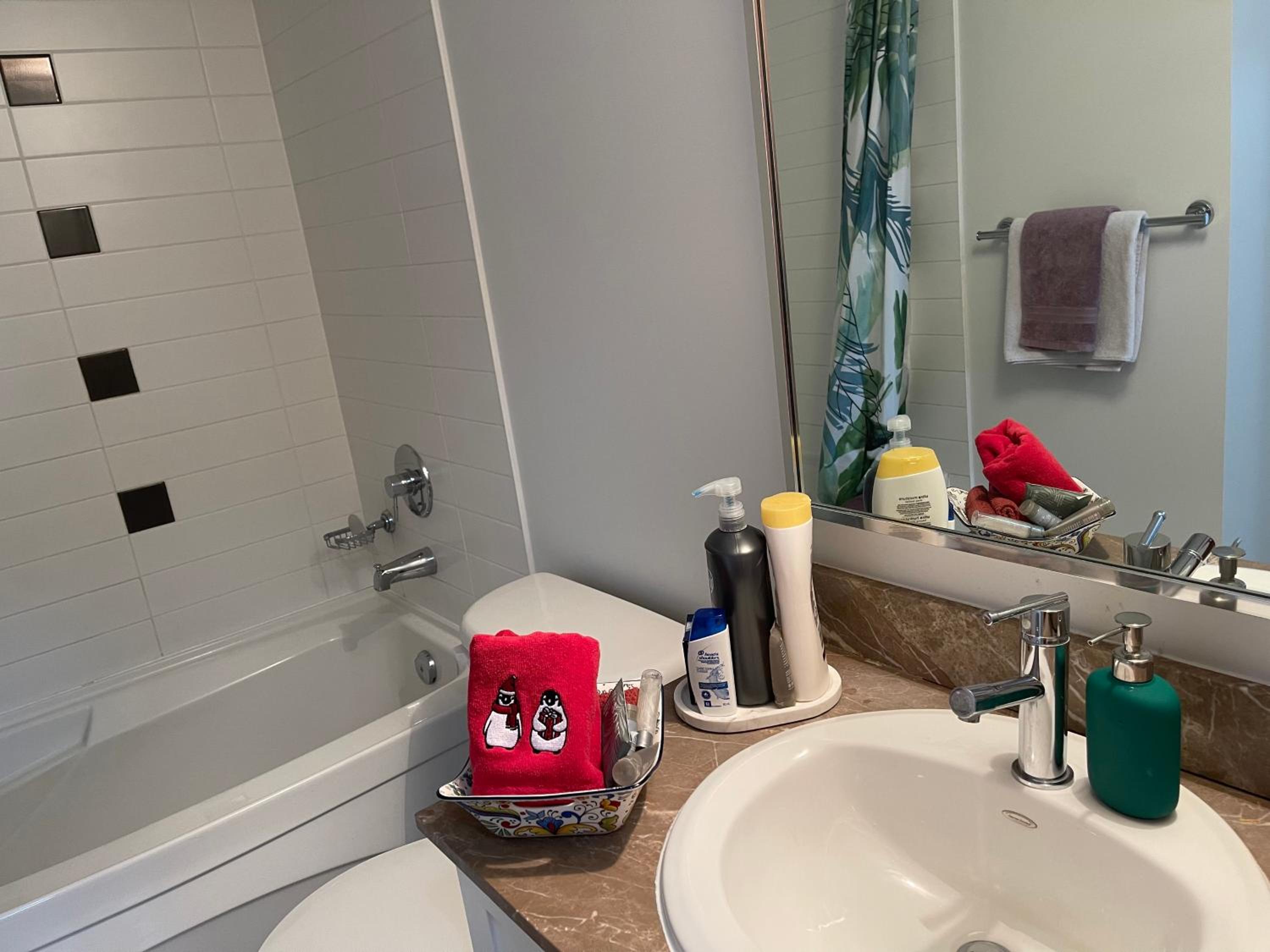 Vancouver Downtown Central 1 bedroom Condo