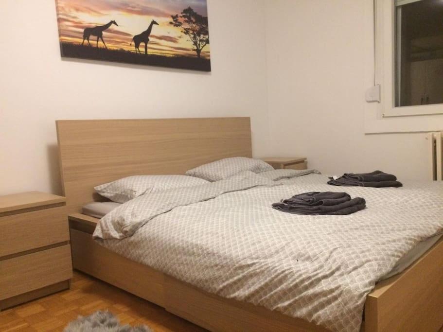 3-rooms Arena apartment