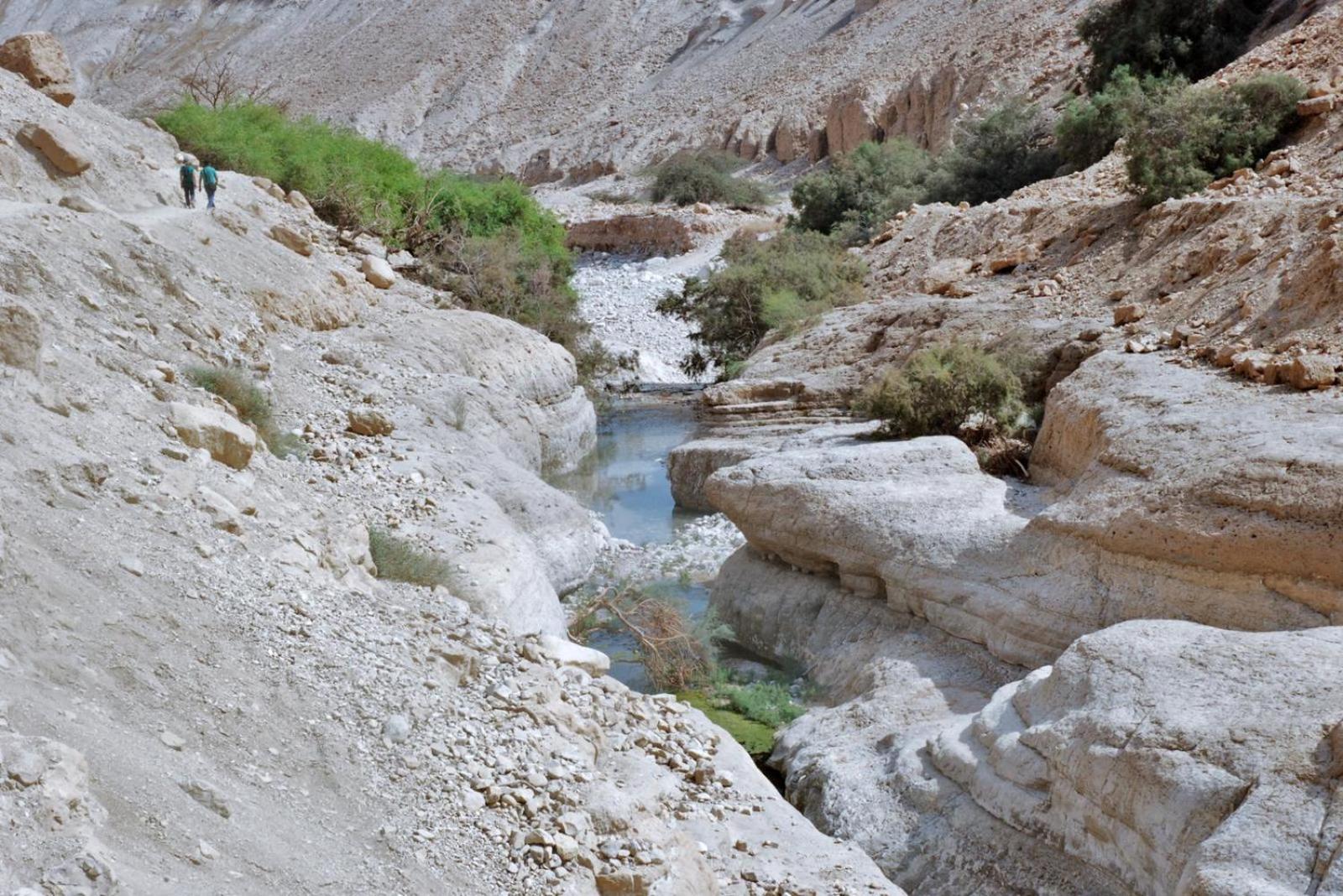 Photo 42