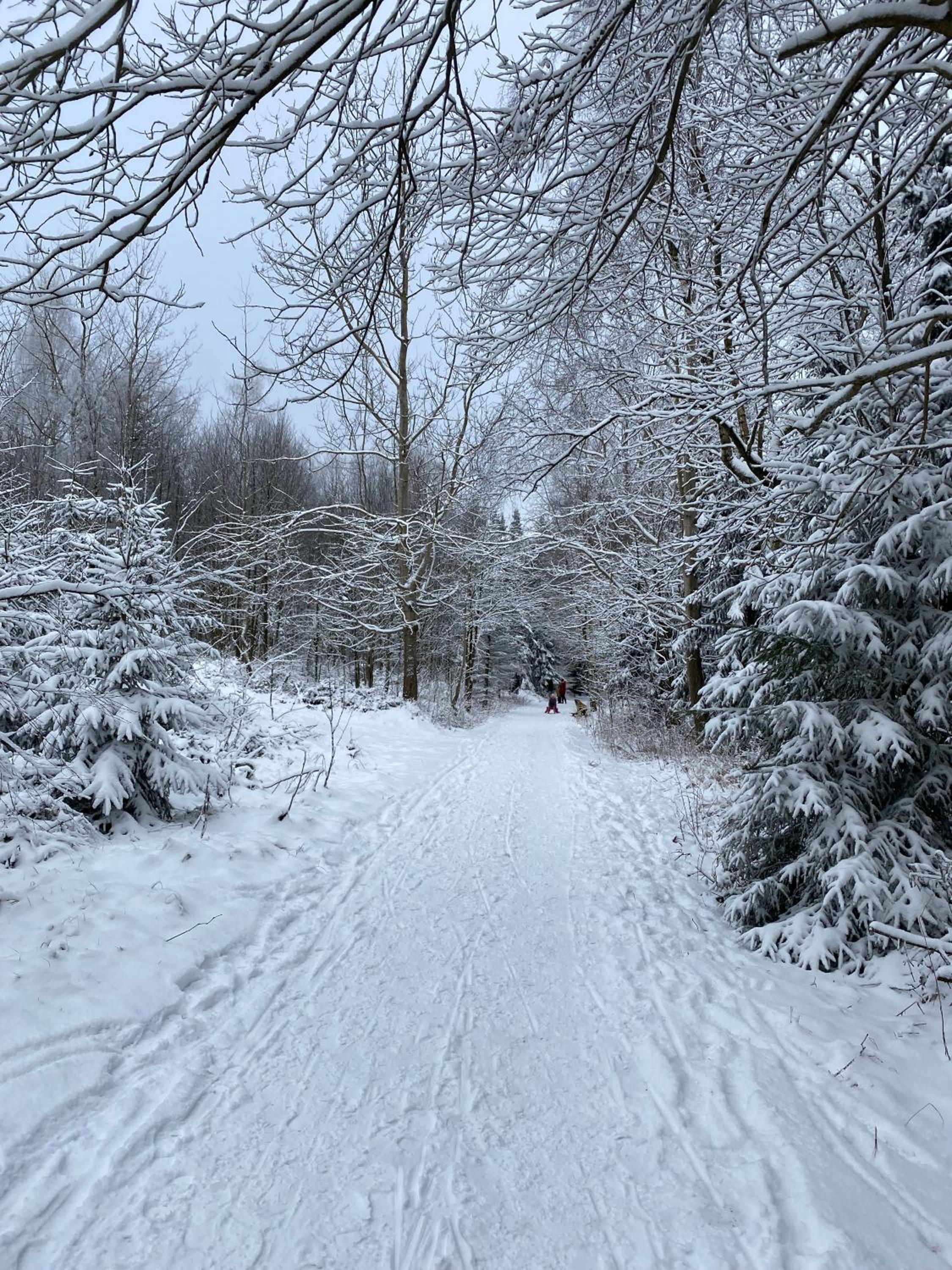 Haus ZUR PINGE