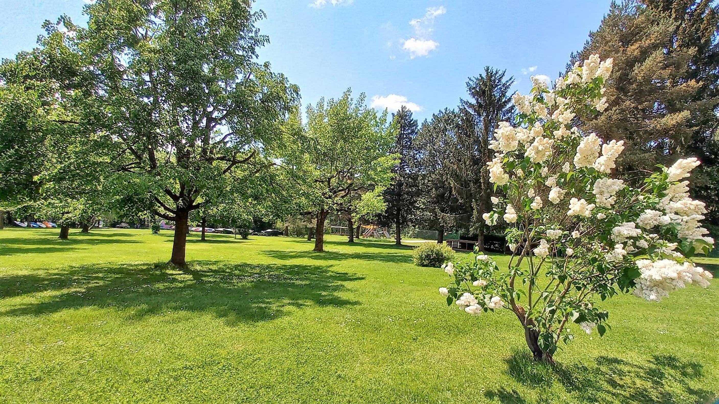 SIMON Haus KMB Seeappartement am Ossiacher See, Hallenbad, Skiarena Gerlitzen