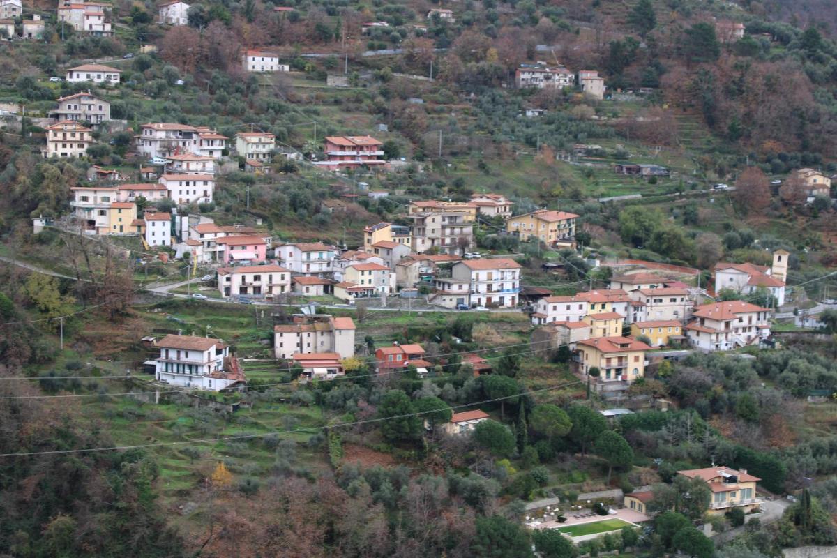 Mari & Monti view 4