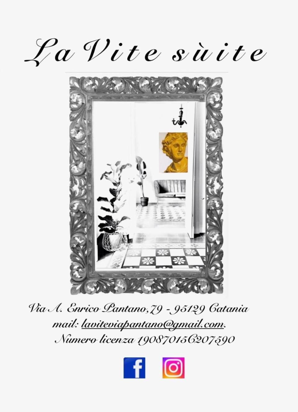 La Vite suite