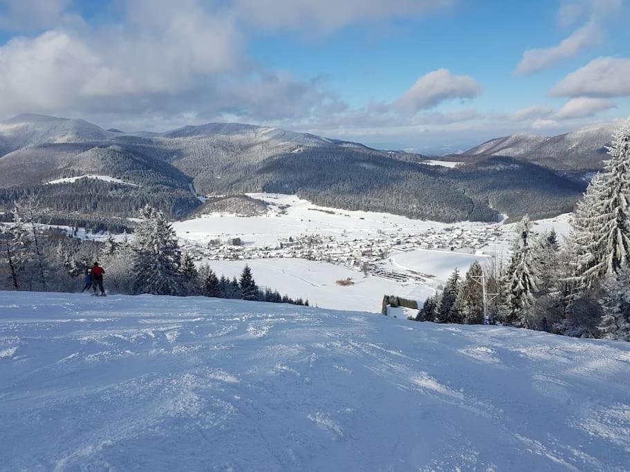 Maľovaná drevenička v Čičmanoch