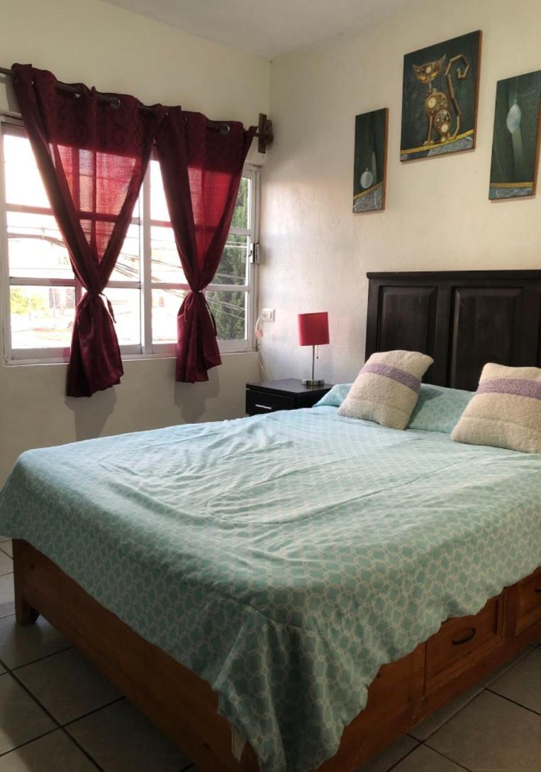 Departamento con Terraza LOBO view 4