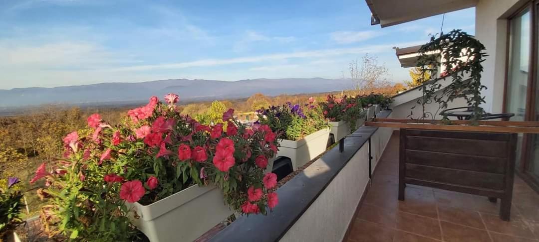 Podgorski An view 2