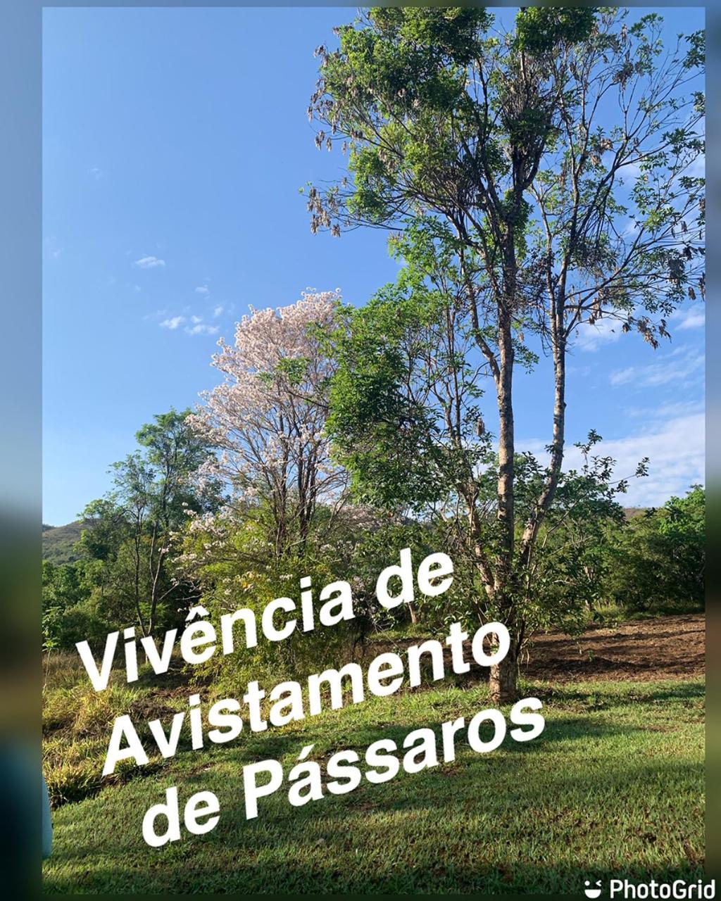 Pousada Estrela Veadeiros