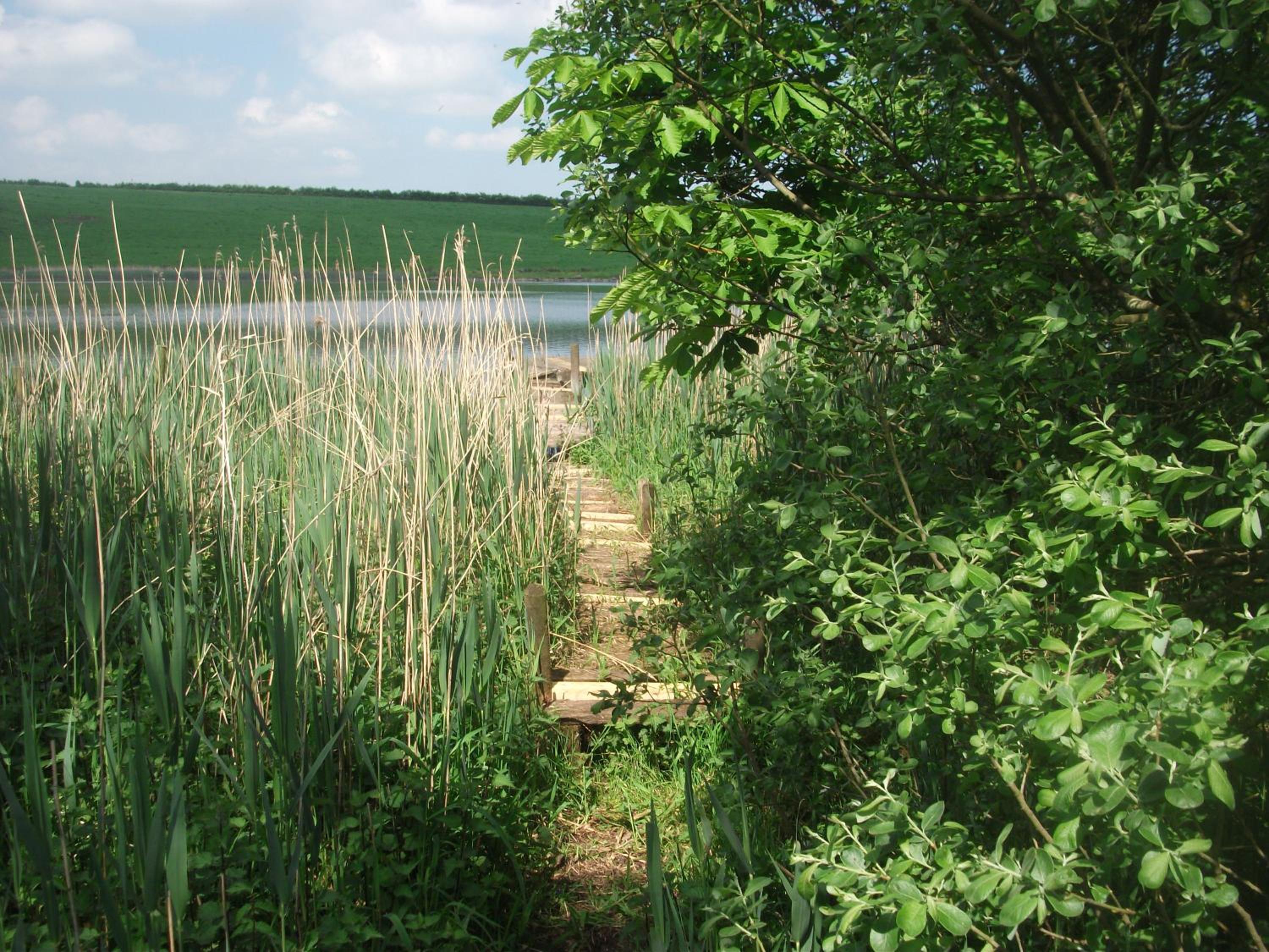 Photo 24