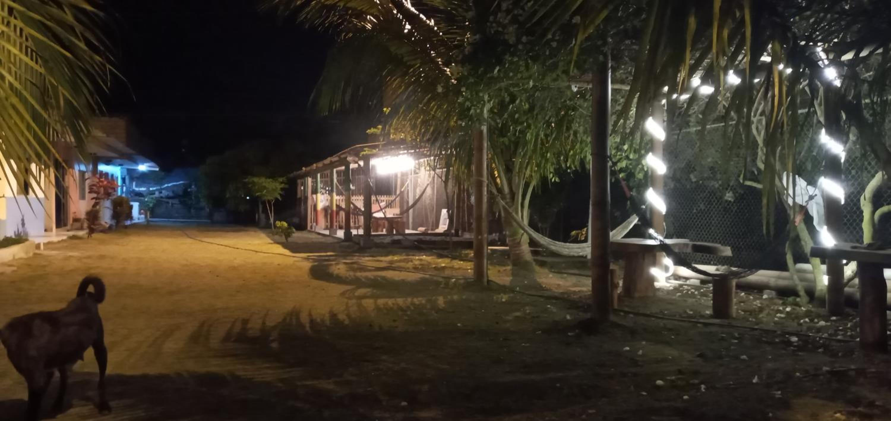 OCEANSURF hosteria