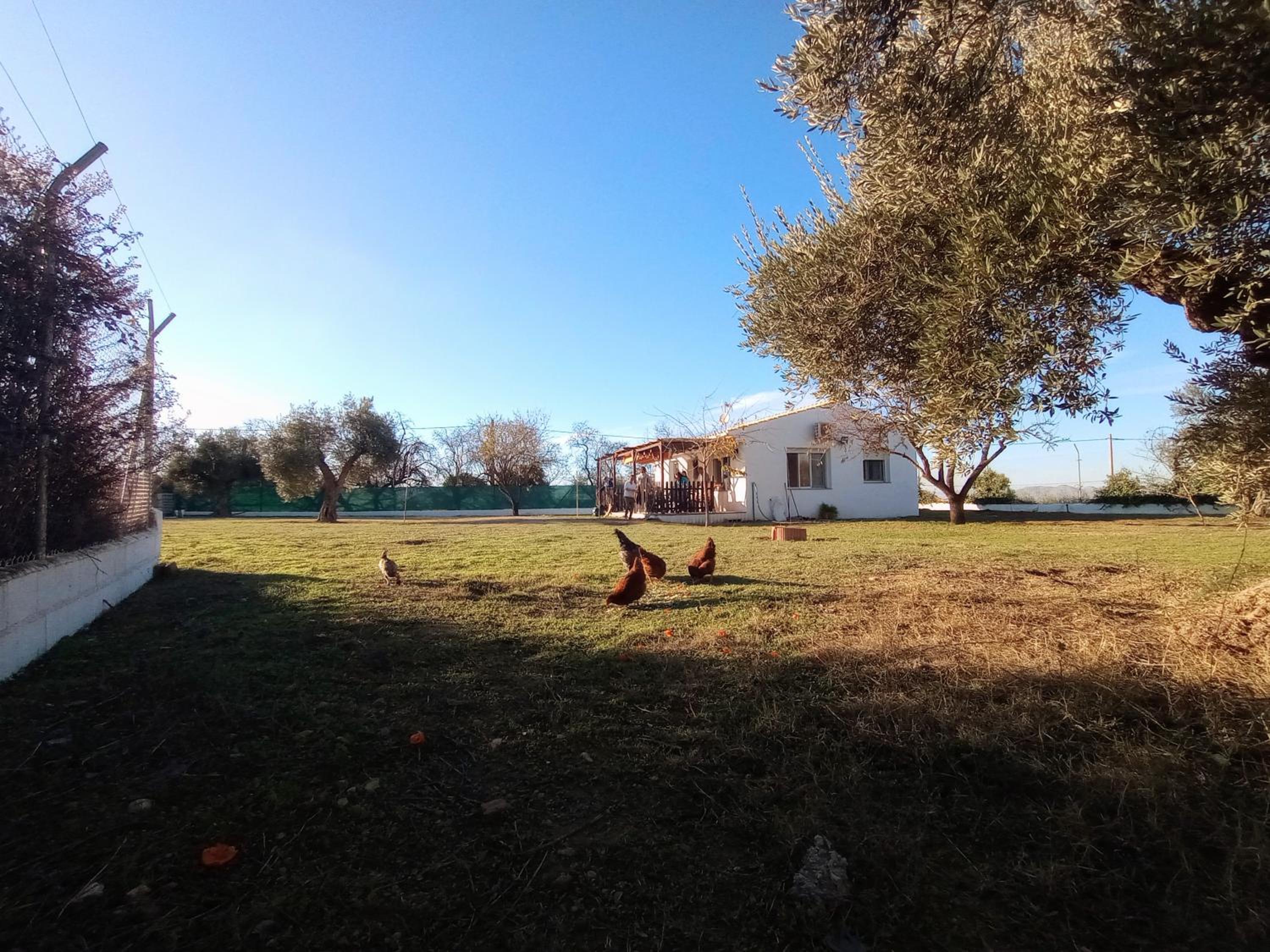 Casa de Campo Los Manueles Ideal Perros Pet Friendly