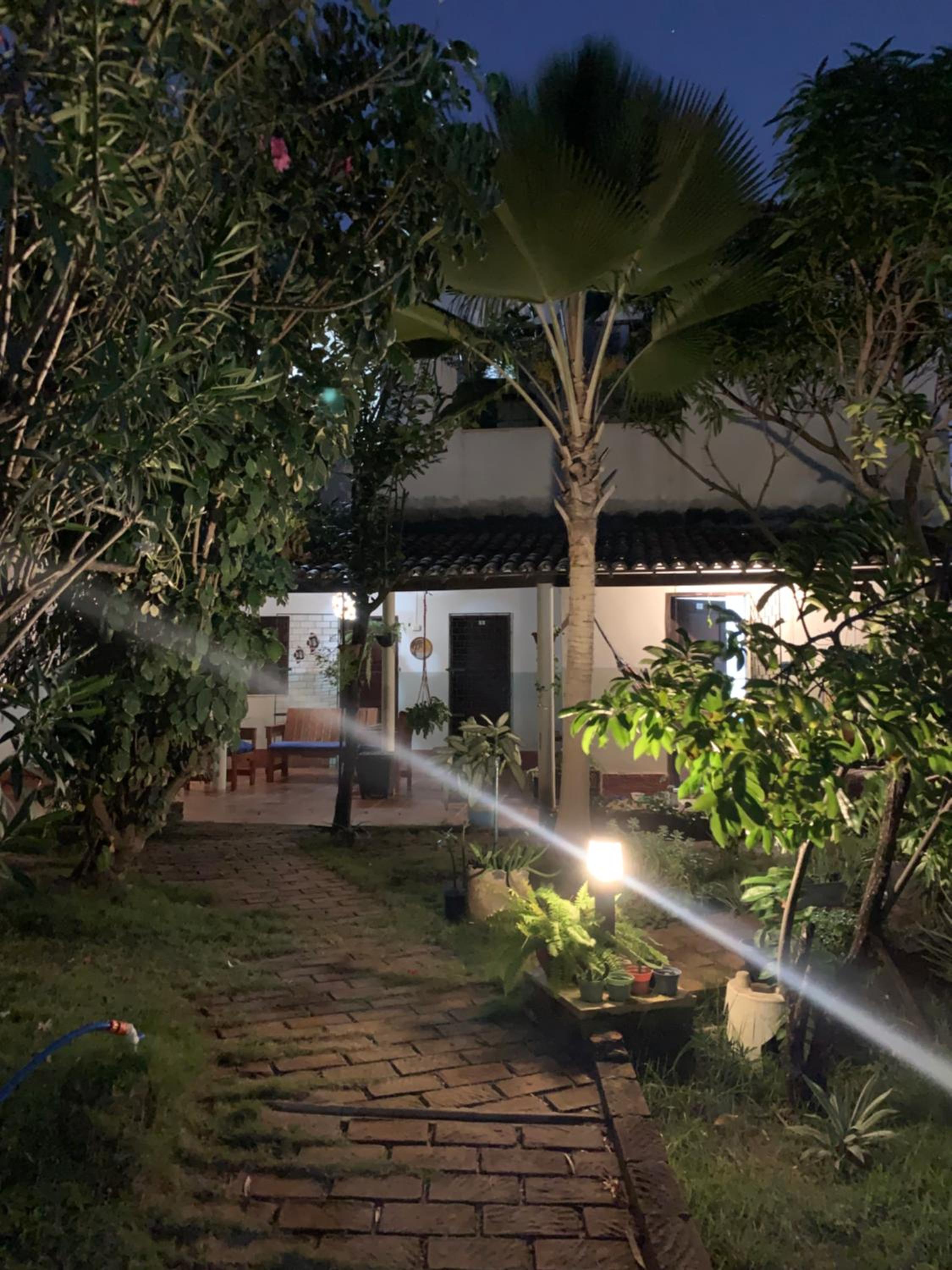 garden