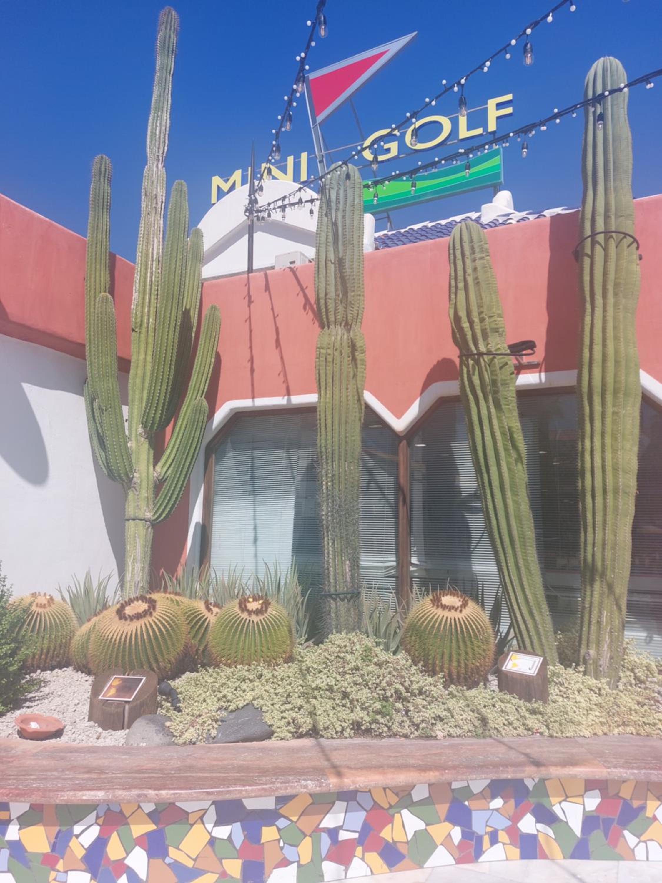 Apartamento Margarita con piscina en Playa Honda, Playa las Américas