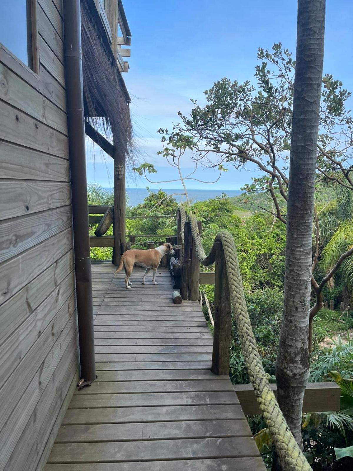 Um lugar mágico, praia do rosa, vista pro mar
