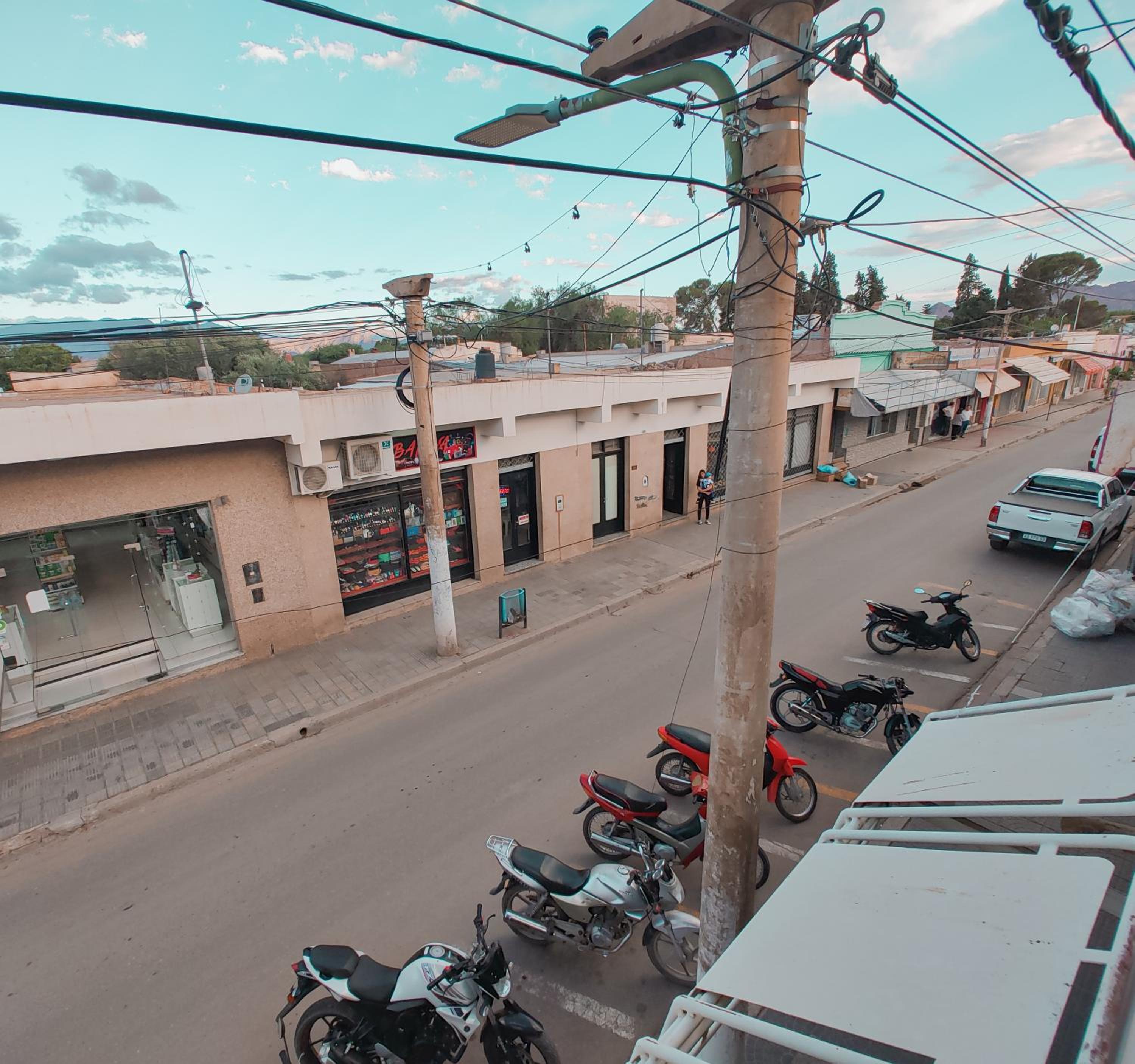 Cactus del Valle