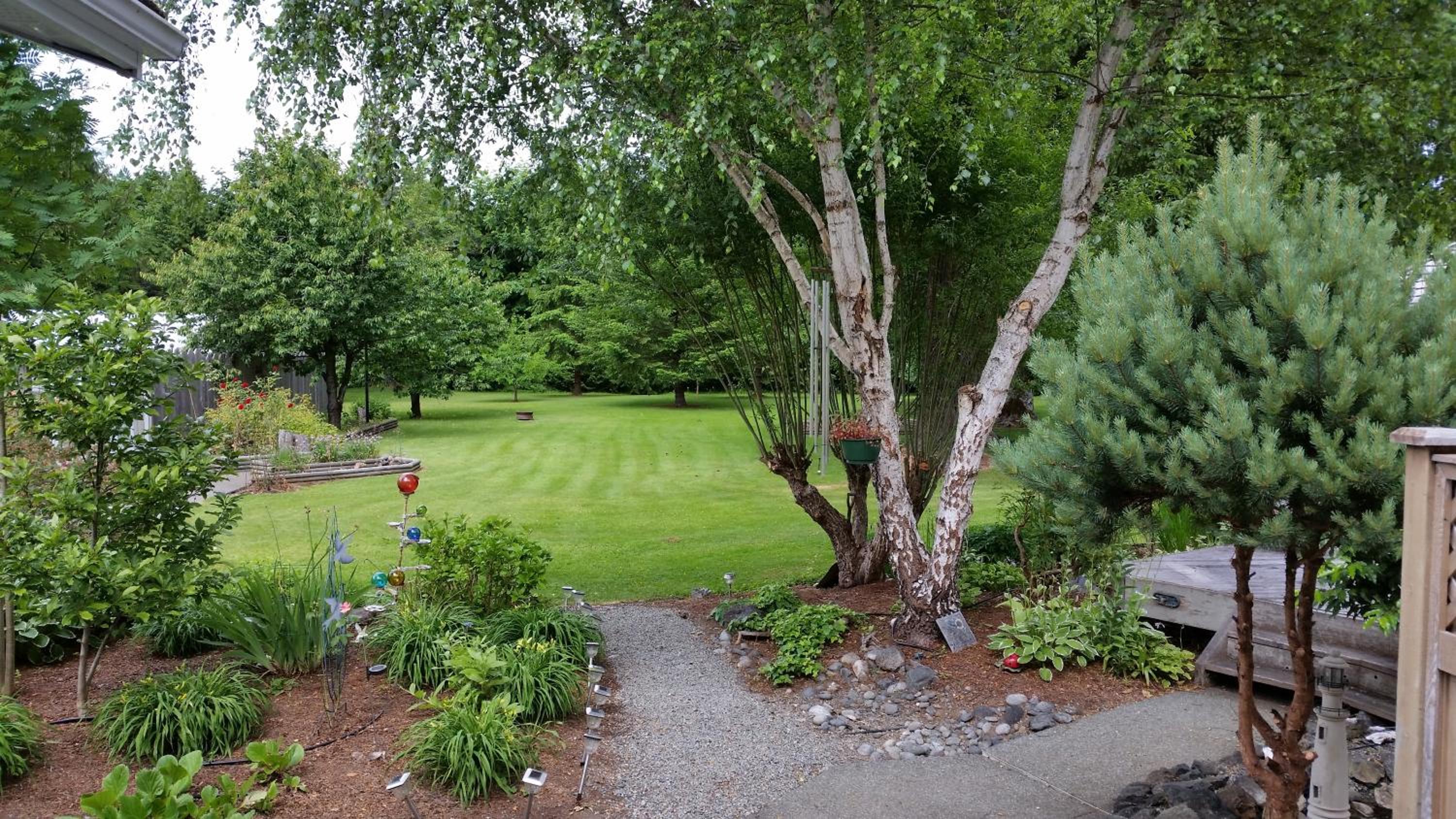 Hummingbird Guesthouse