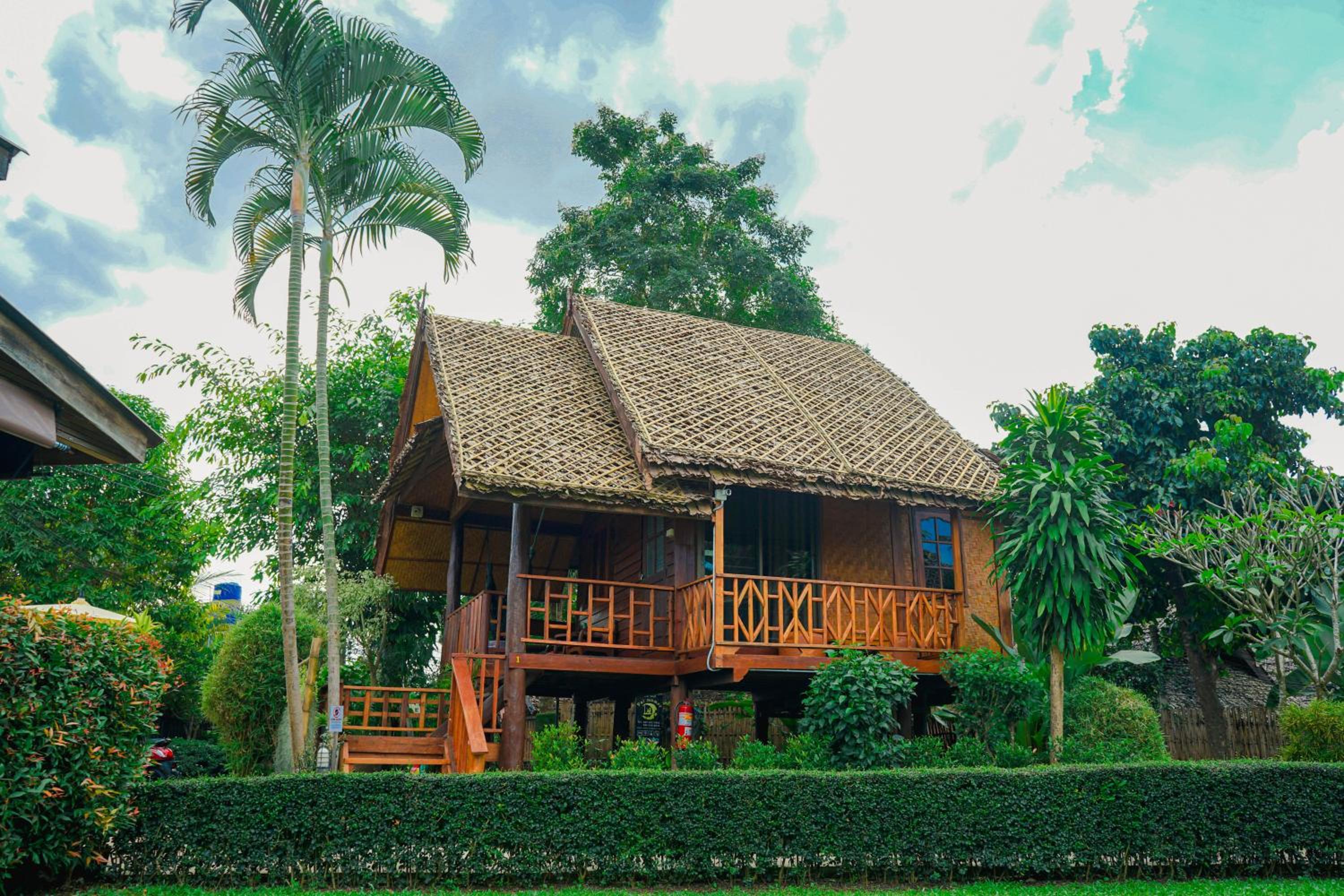 Pai Homey