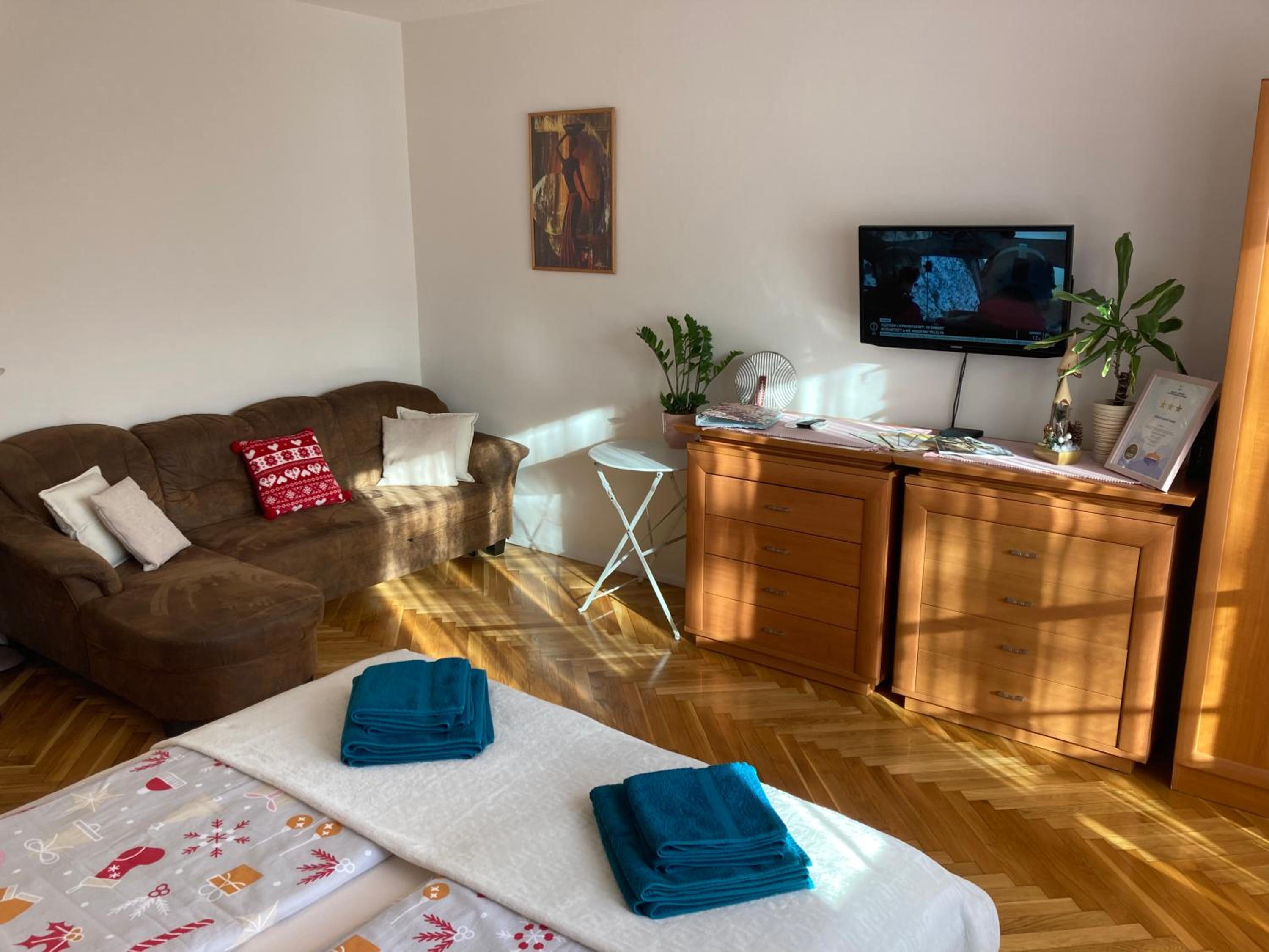 Fürdő Apartman view 3