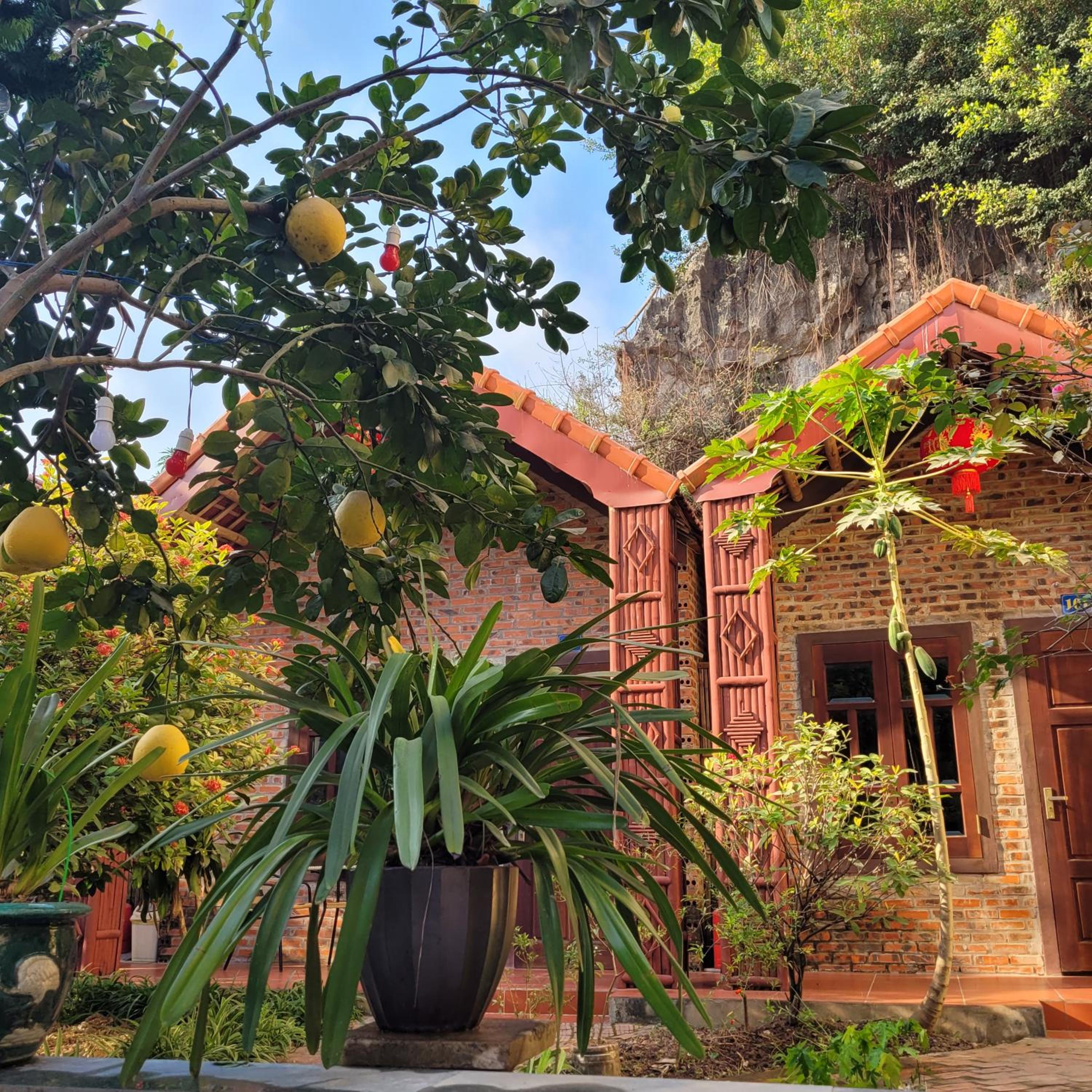 Tam Coc Mountain Lake Homestay view 3